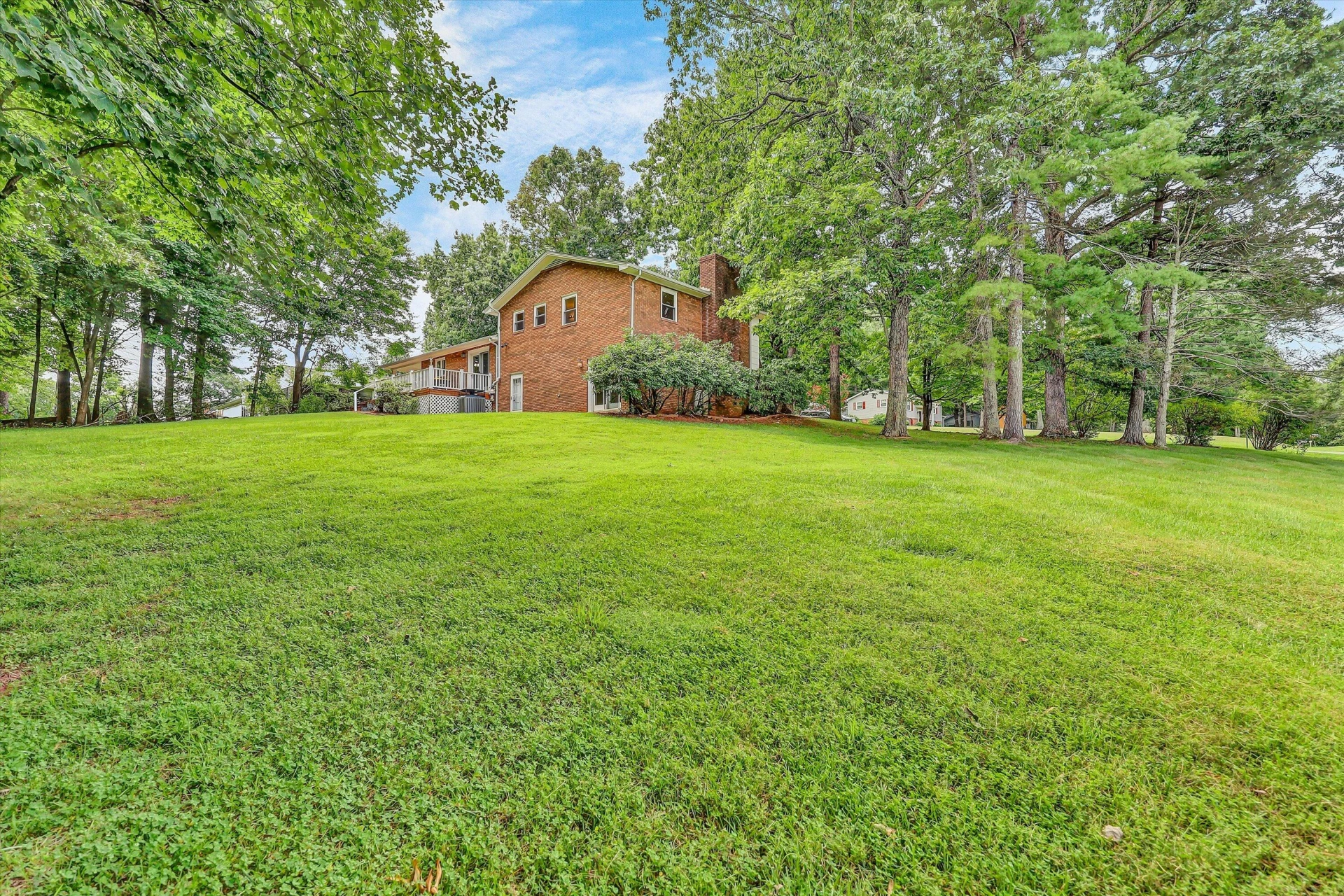 120 Forest Hill LN - Photo 51