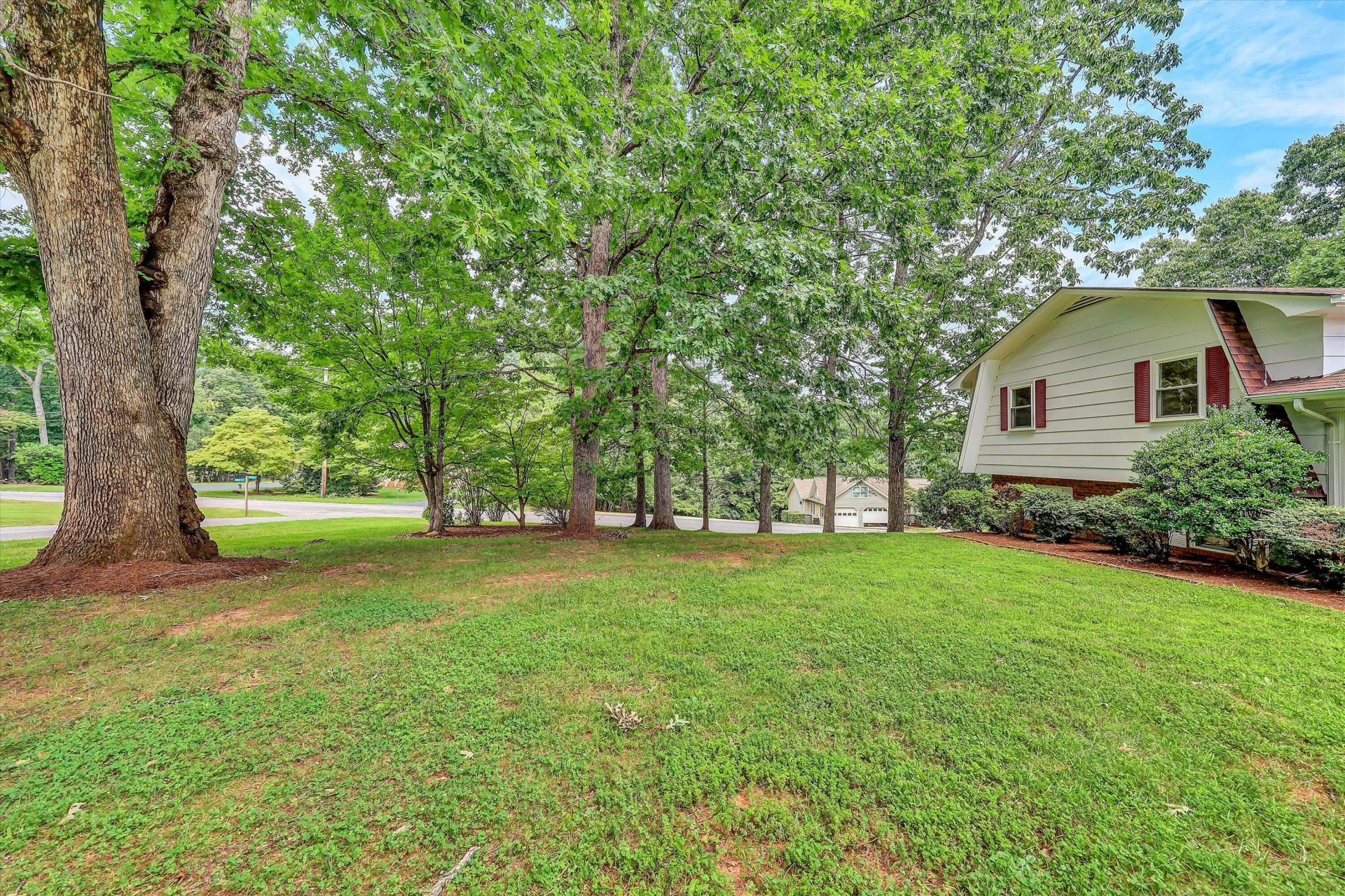 120 Forest Hill LN - Photo 57