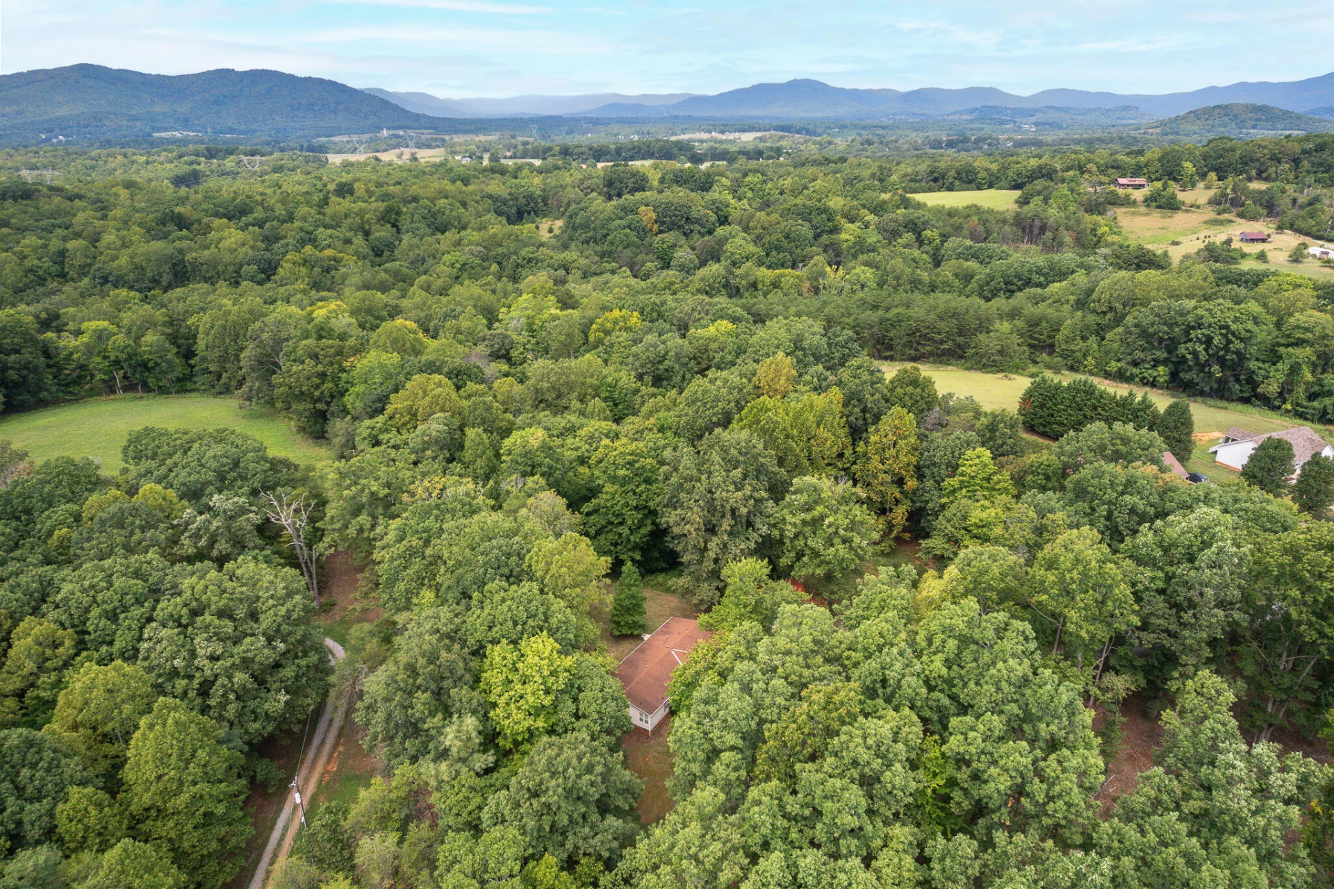 1624 Fiddler Creek RD - Photo 34