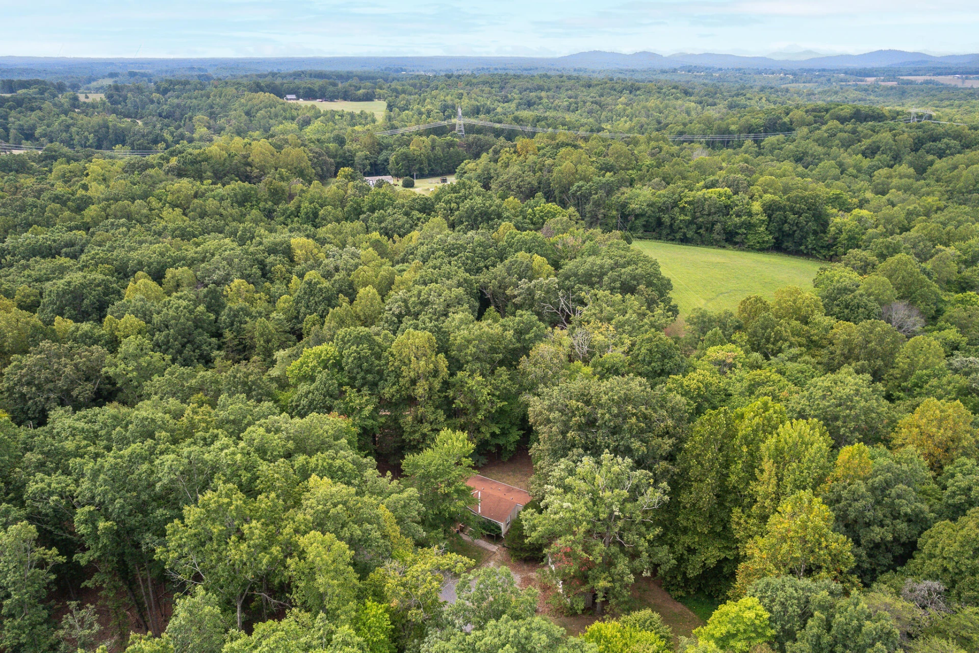 1624 Fiddler Creek RD - Photo 35