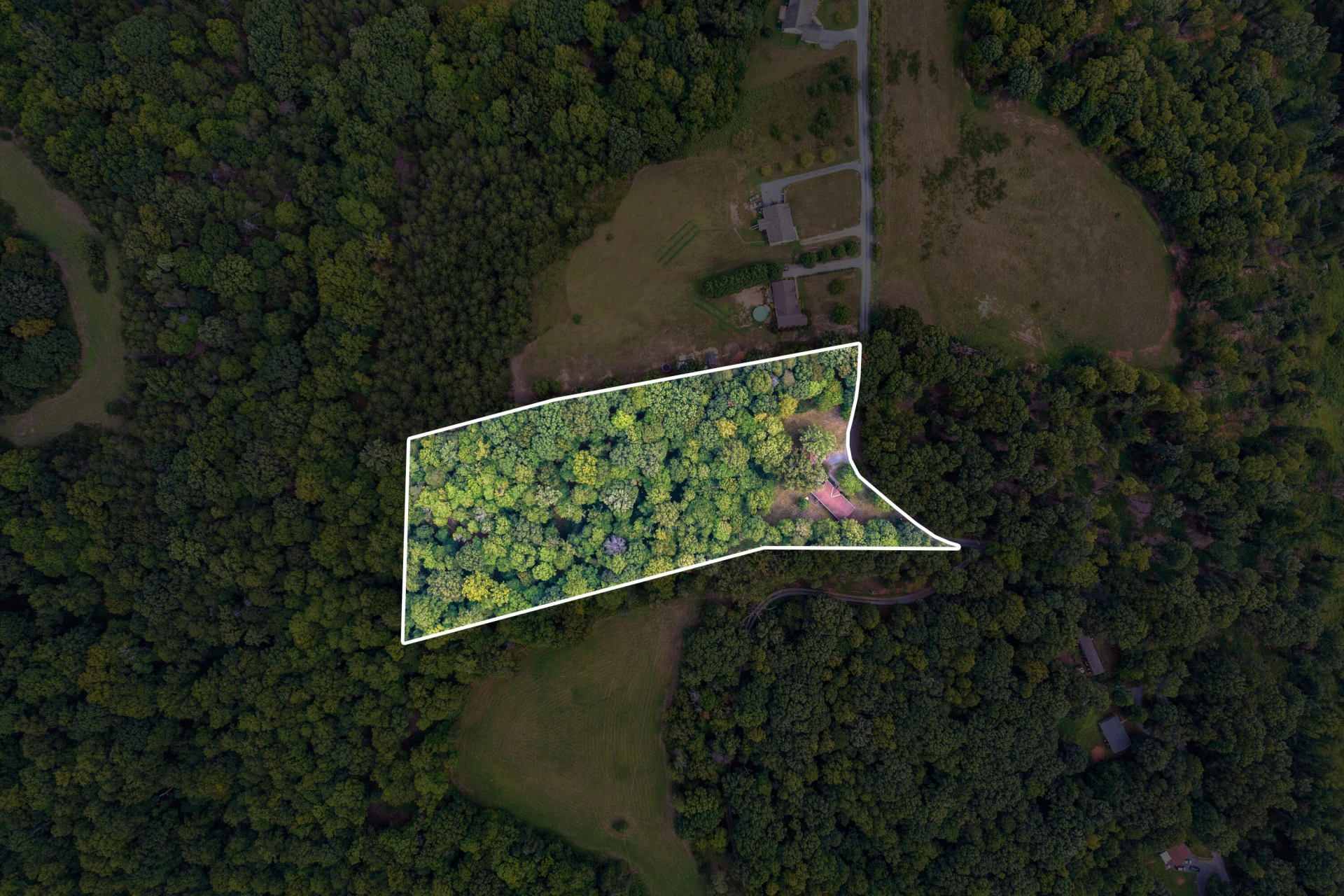 1624 Fiddler Creek RD - Photo 38