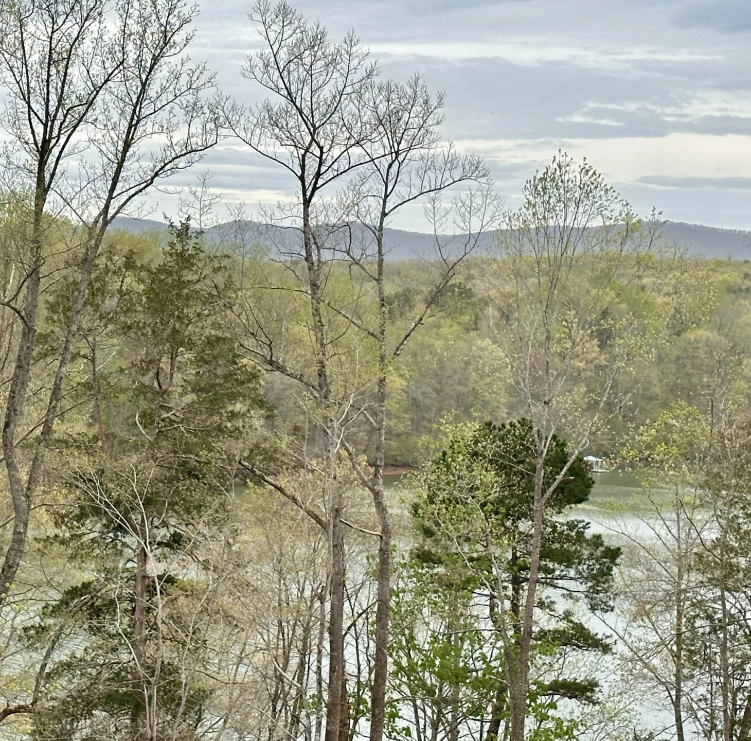 lot 6 Waterside TER - Photo 3