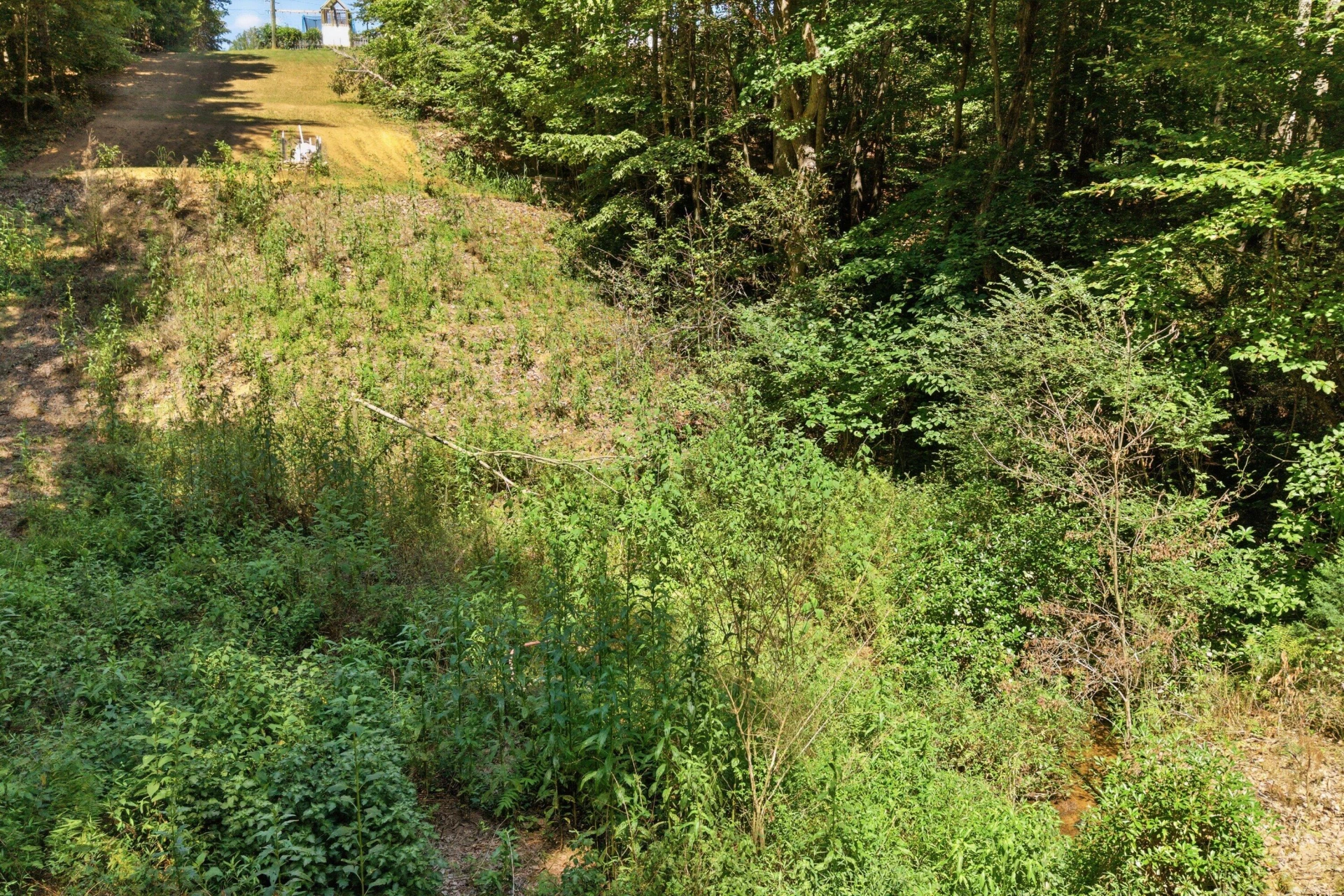 117 Vista View LN - Photo 31