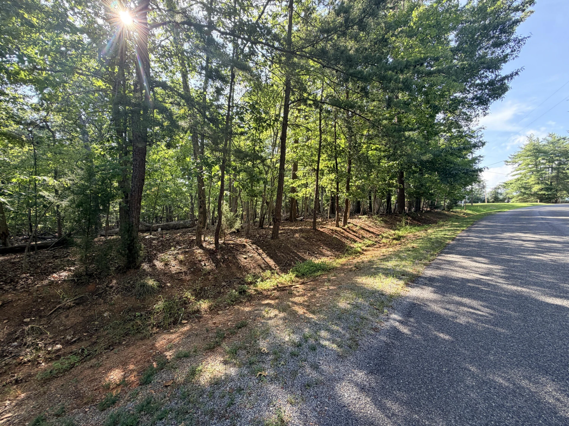 Lot 73 Deerwood DR - Photo 2