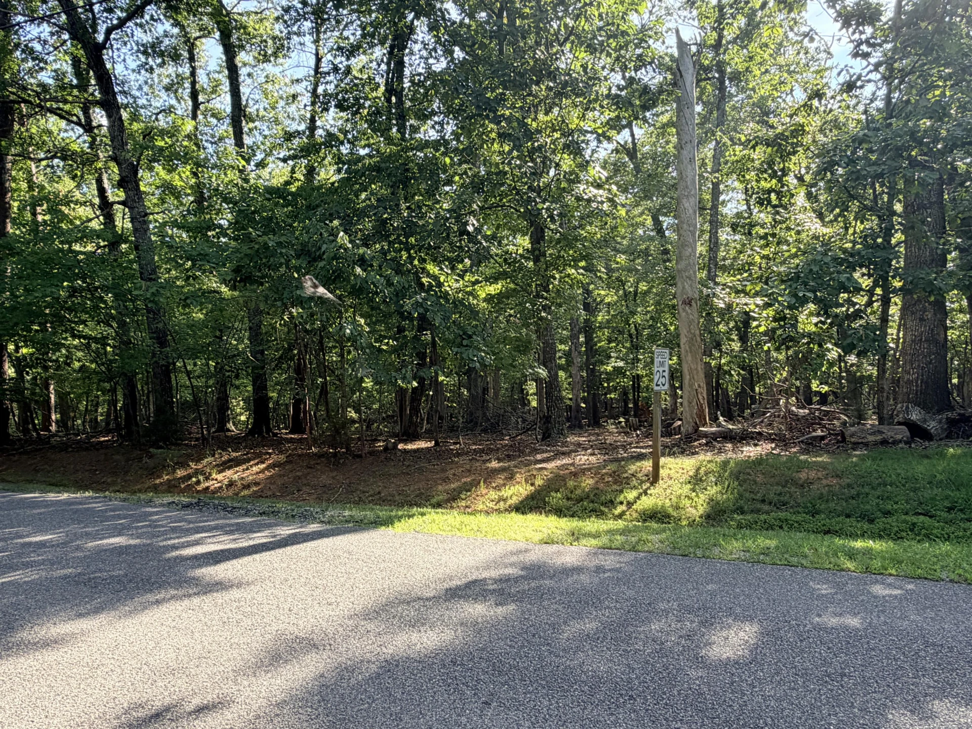 Lot 73 Deerwood DR - Photo 4