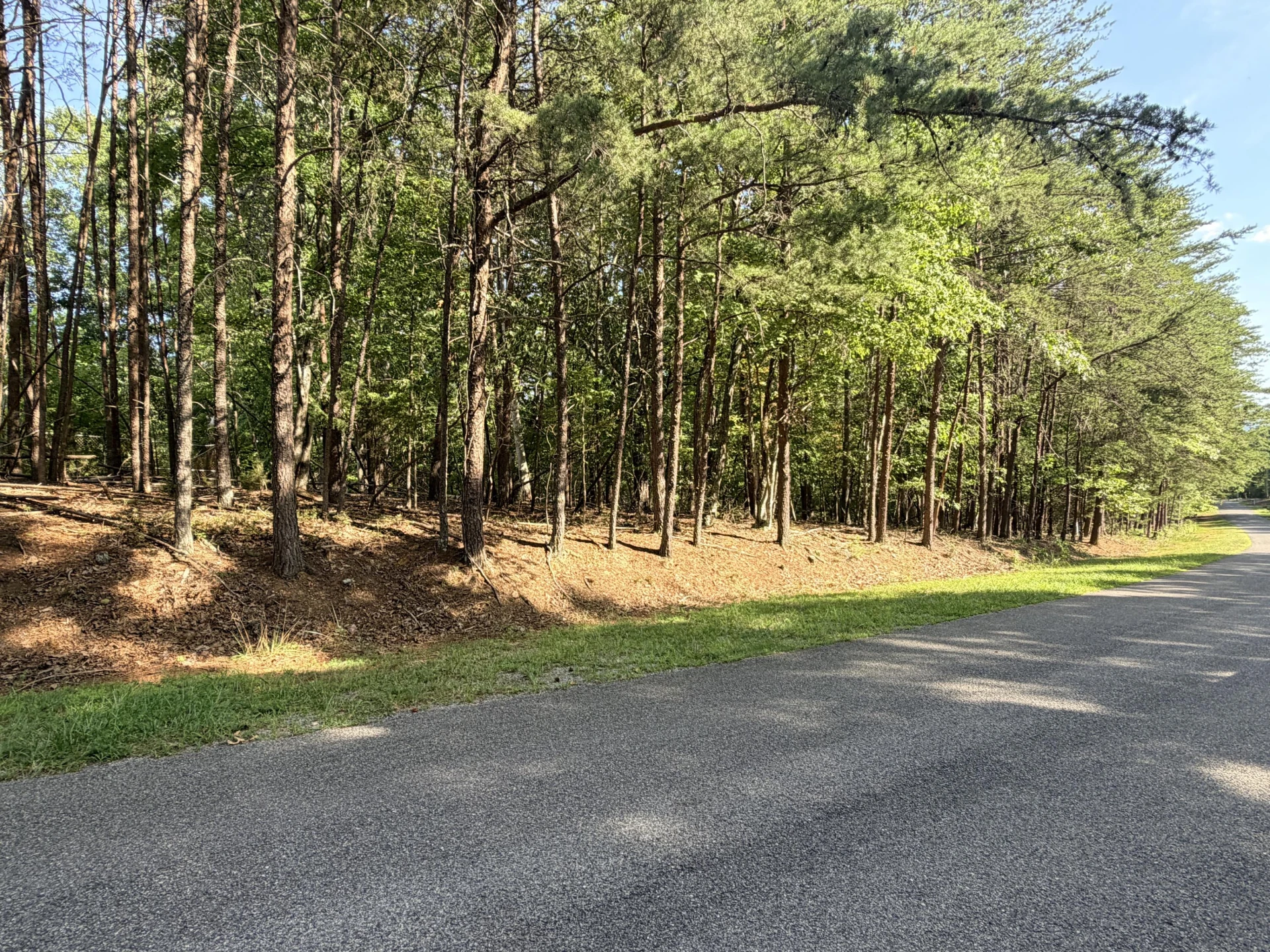 Lot 75 Mountwood DR