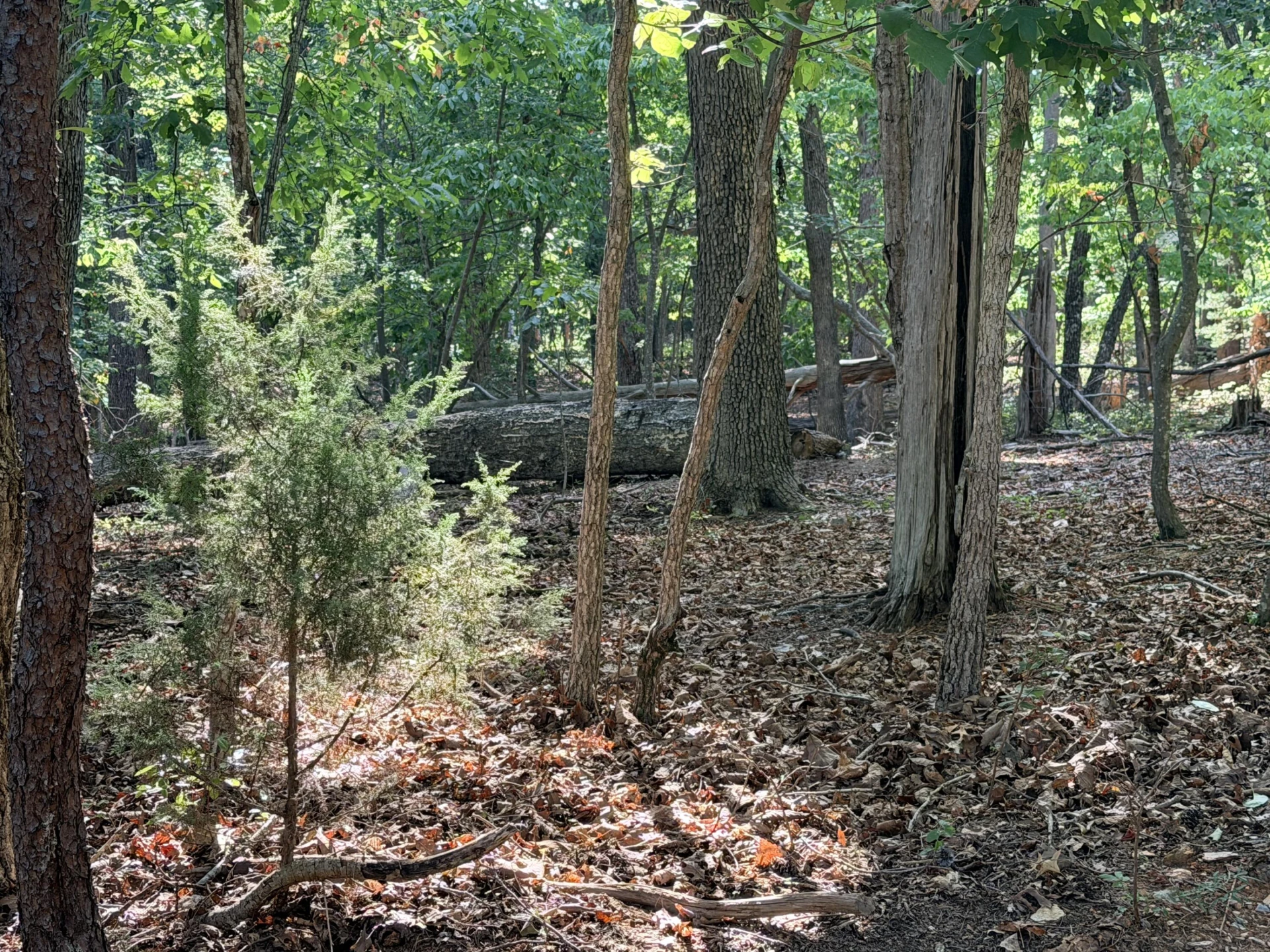 Lot 75 Mountwood DR - Photo 2