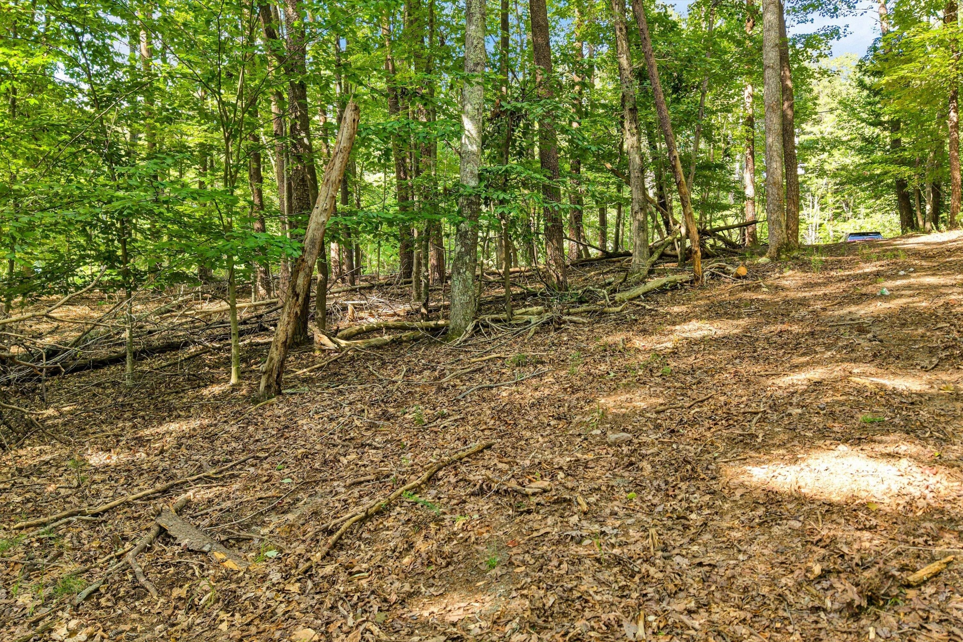 8389 BURNT CHIMNEY RD - Photo 8