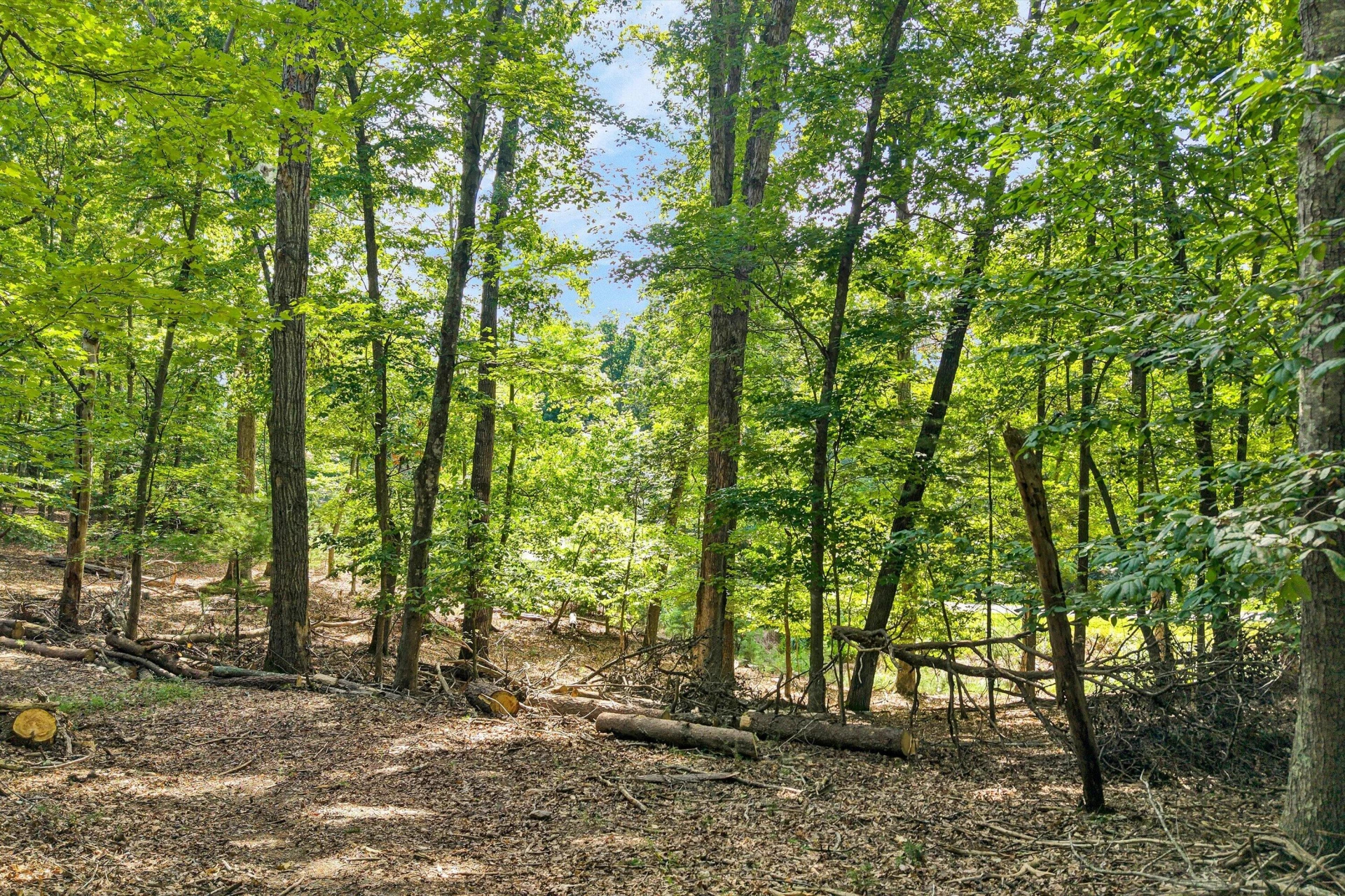 8389 BURNT CHIMNEY RD - Photo 11