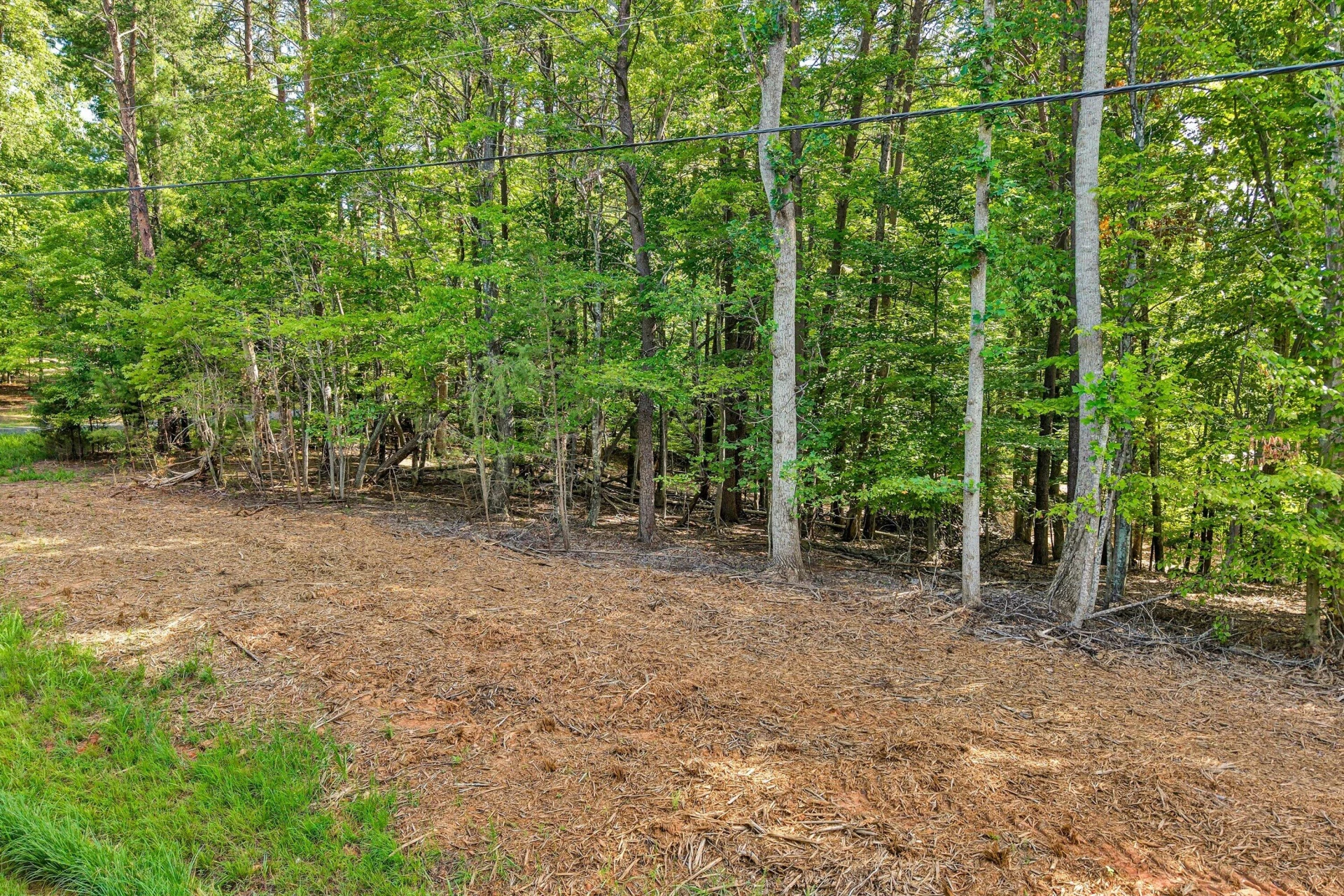 8389 BURNT CHIMNEY RD - Photo 13