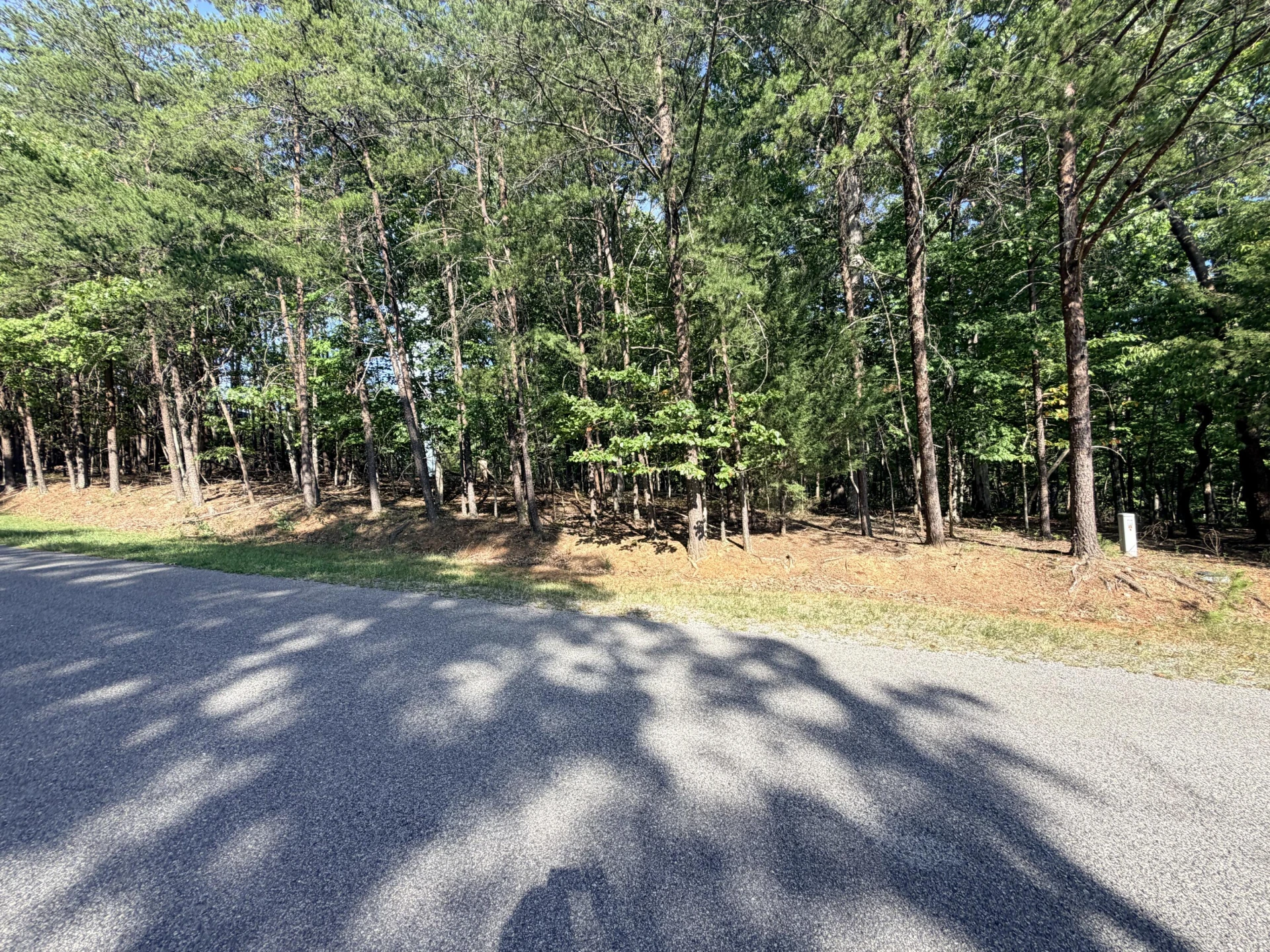 Lot 76 Mountwood DR - Photo 6