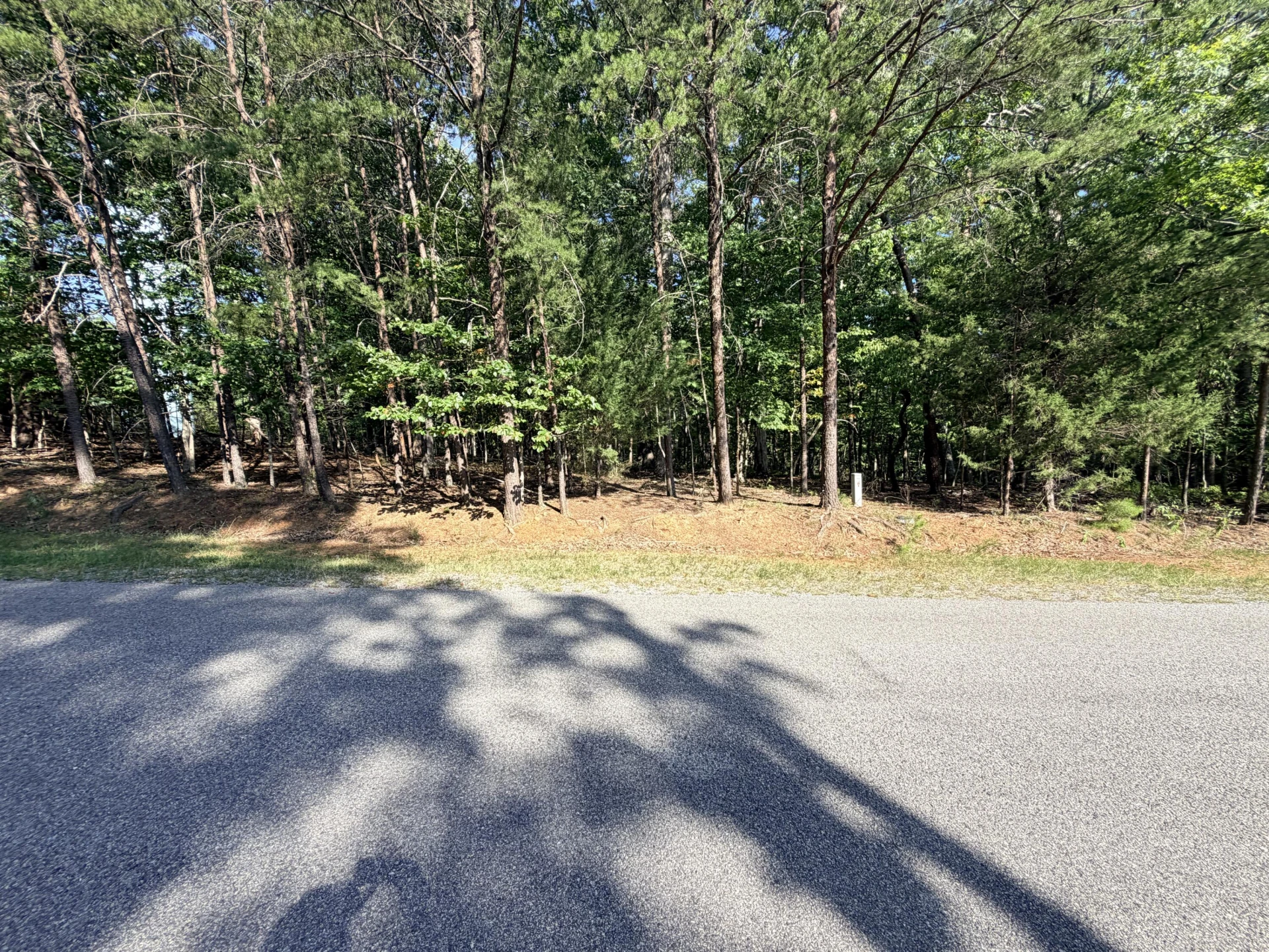 Lot 77 Mountwood DR