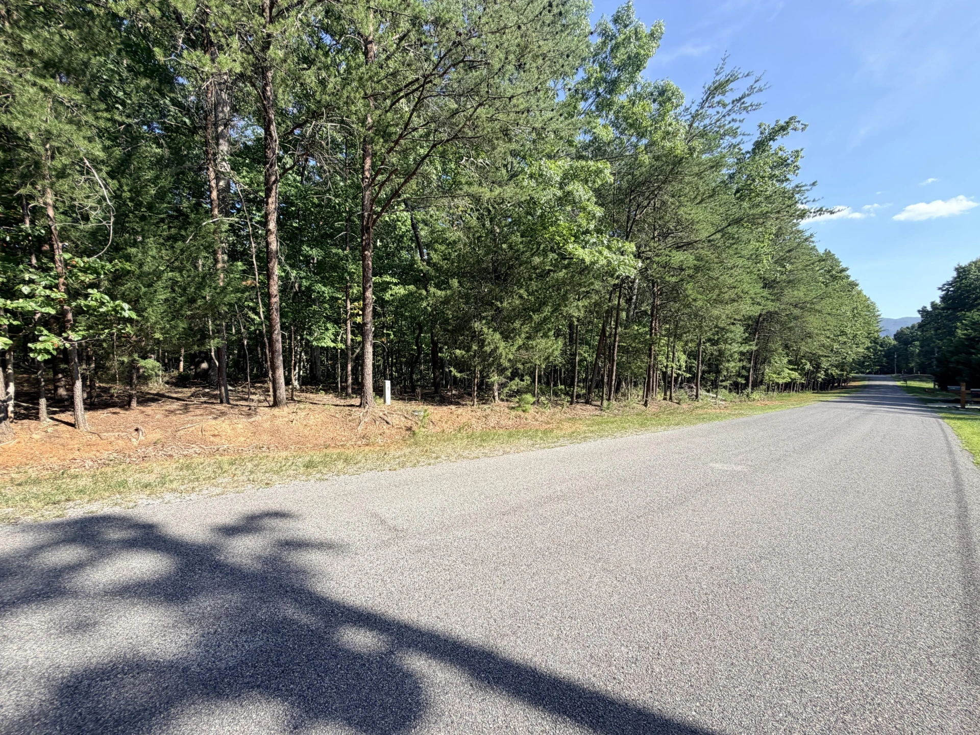 Lot 77 Mountwood DR - Photo 8