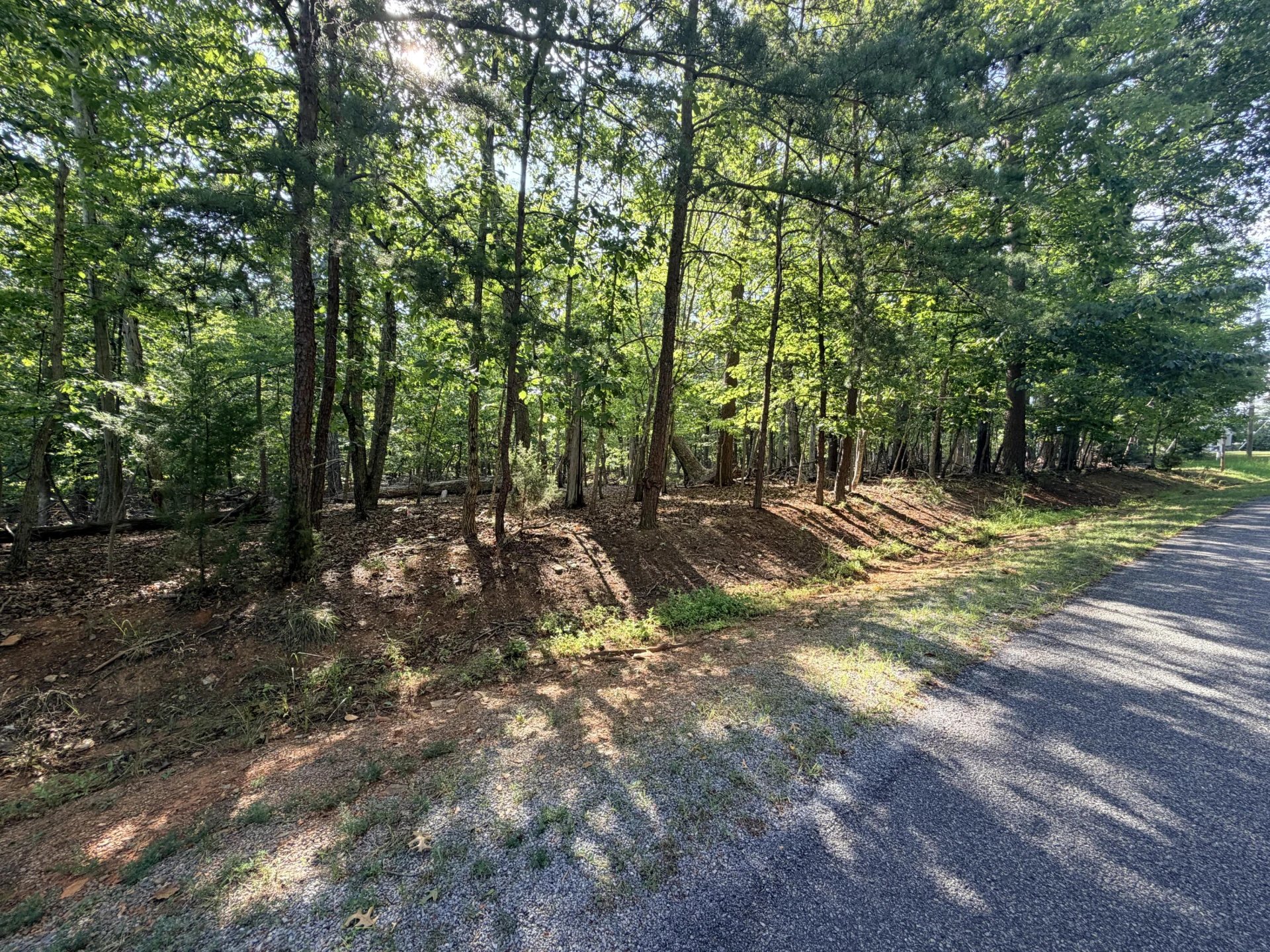 Lot 77 Mountwood DR - Photo 9