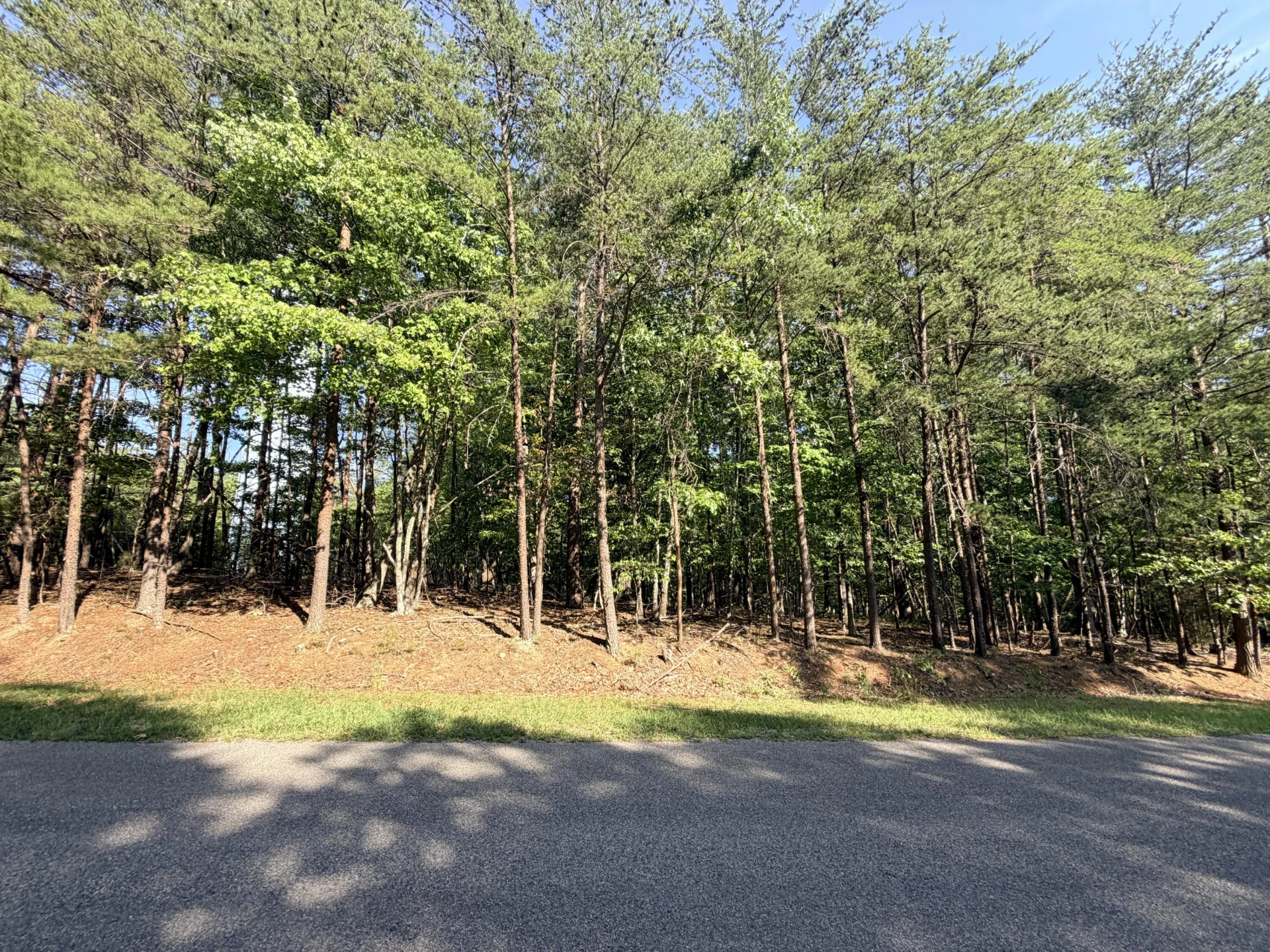 Lot 78 Mountwood DR - Photo 4