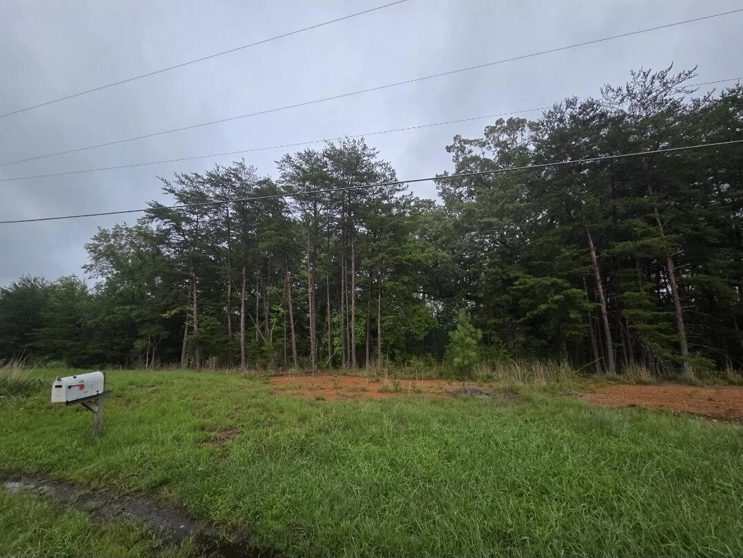 78 Horsepasture Price RD