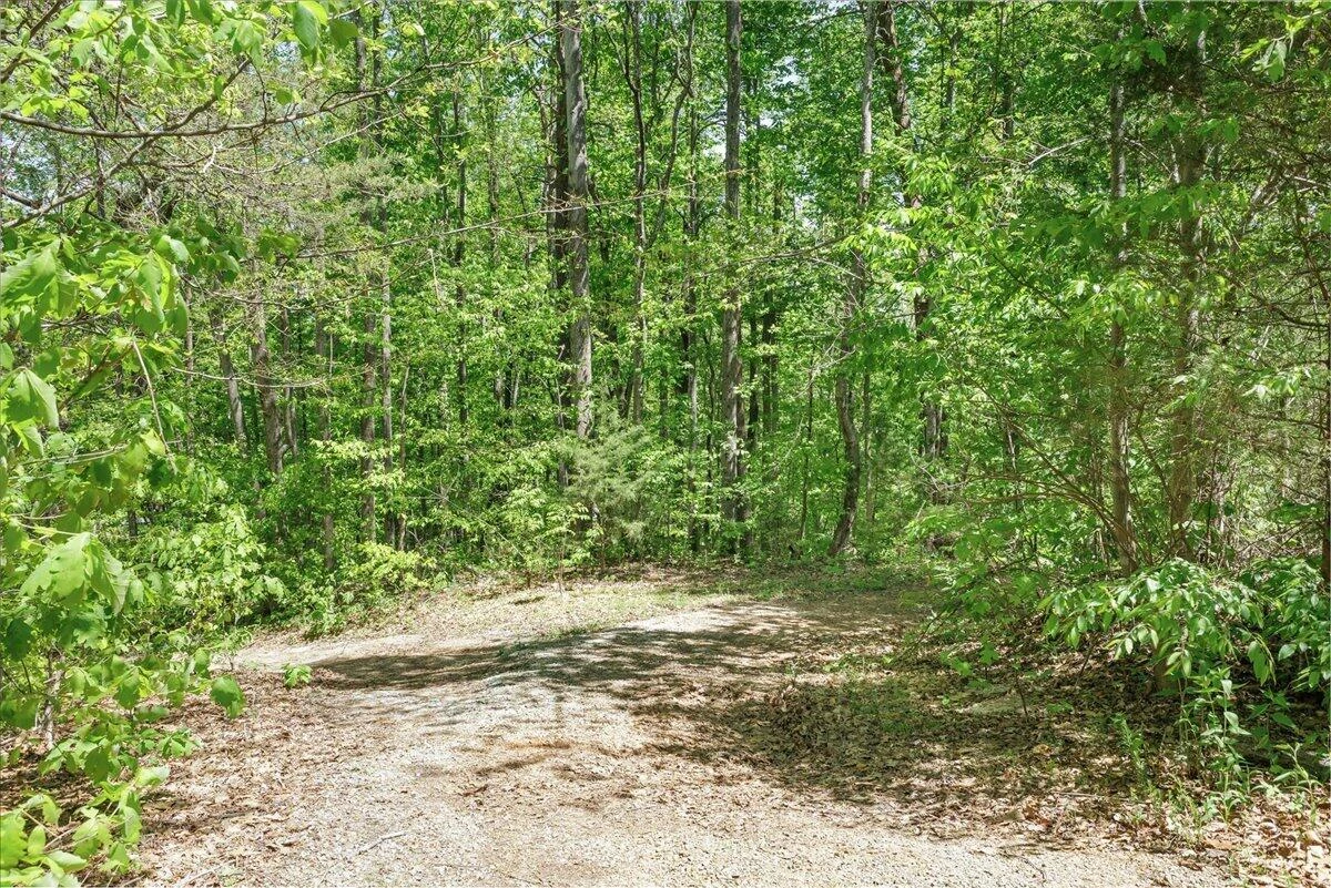 1512 Snow Creek RD - Photo 4