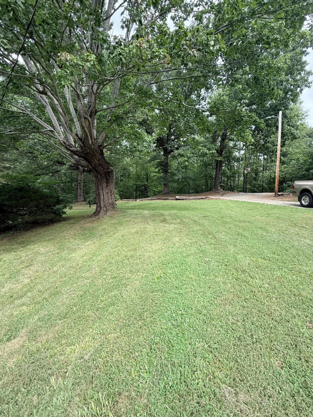 1512 Snow Creek RD - Photo 15