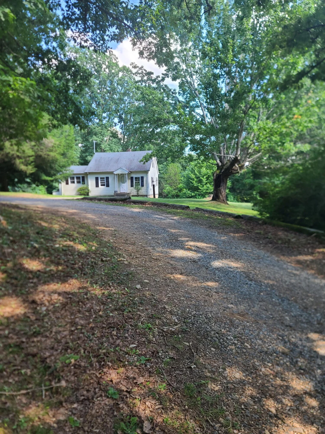 1512 Snow Creek RD - Photo 2