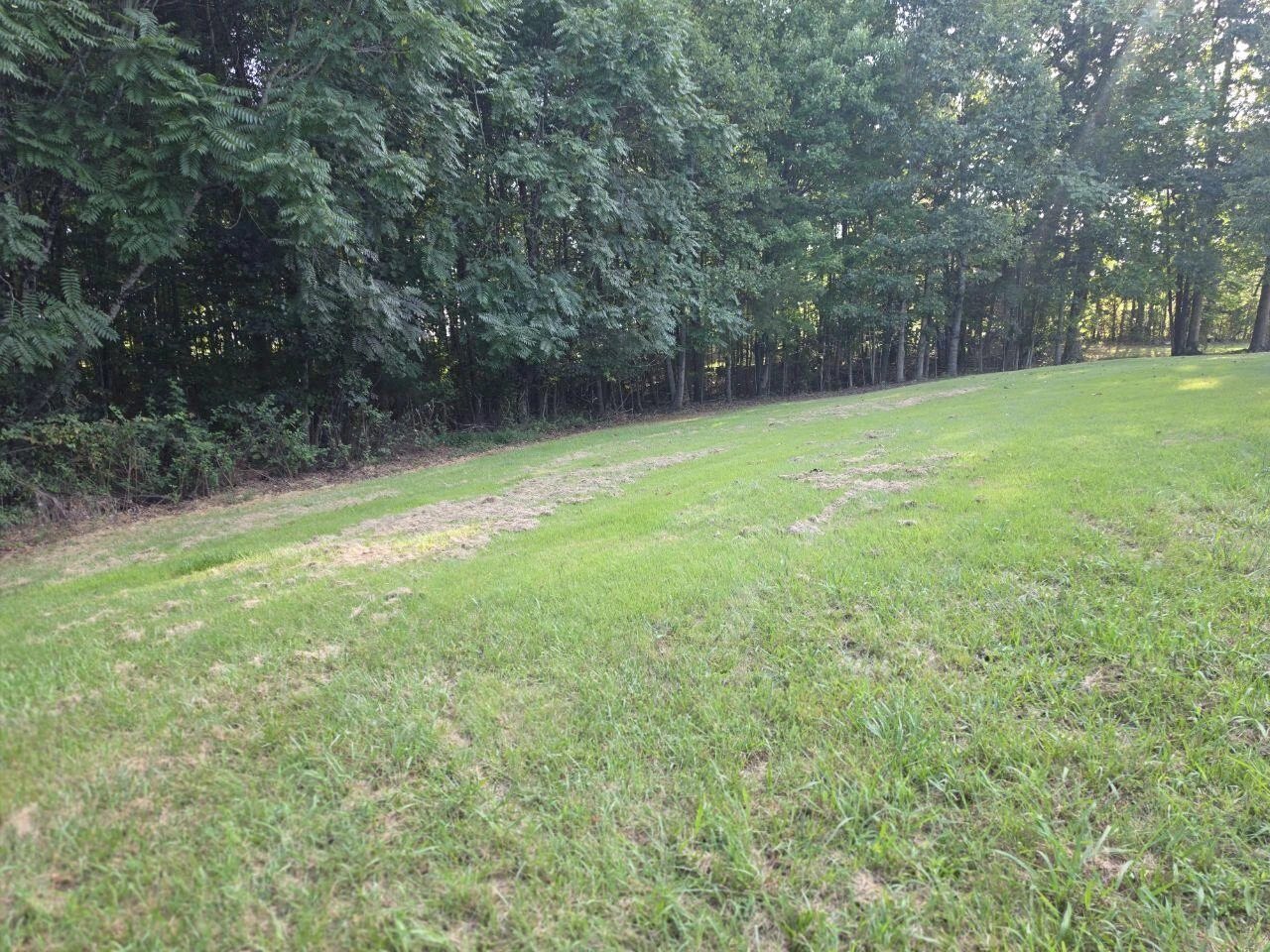 36 Nutmeg LN - Photo 3