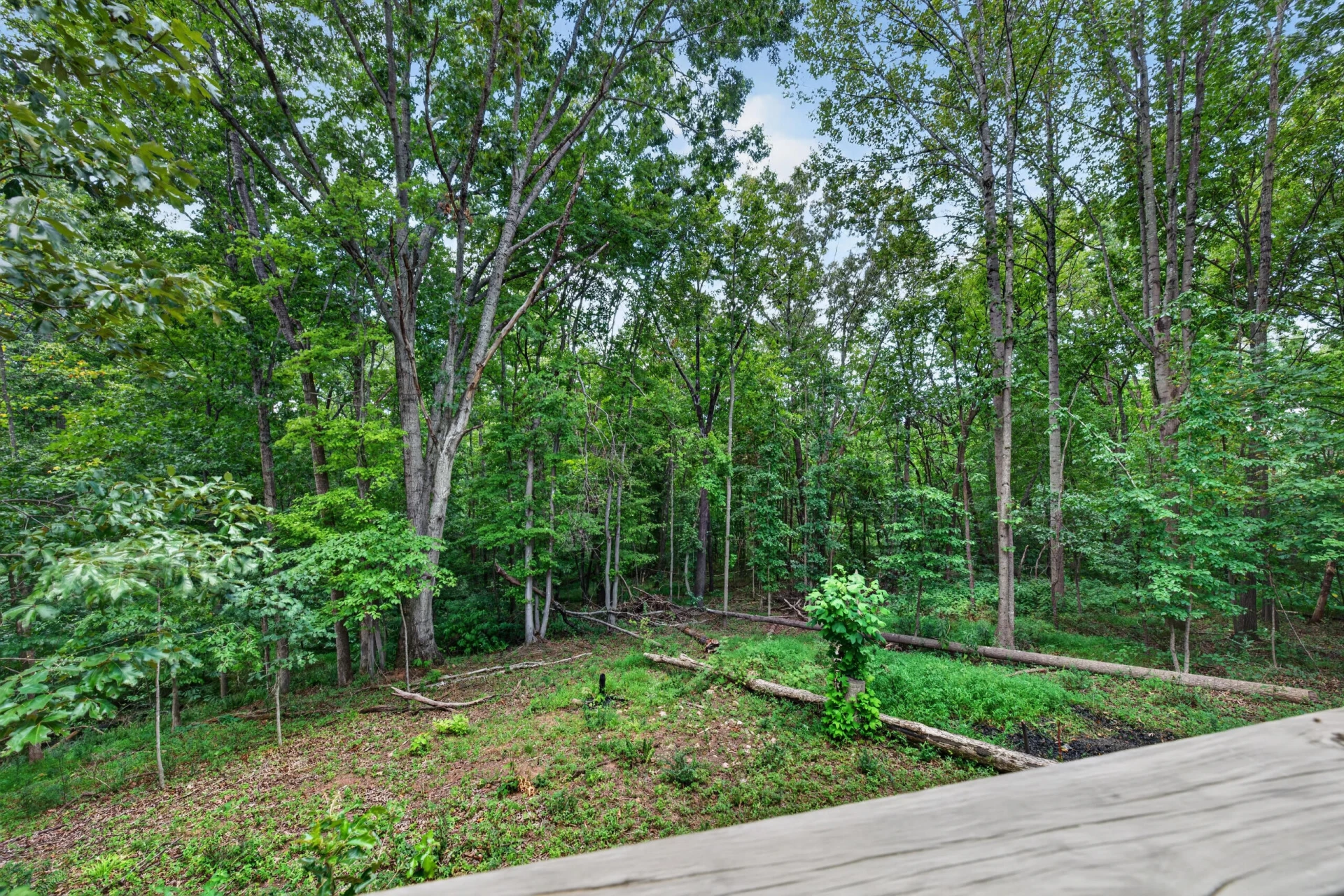 1452 White House RD - Photo 25