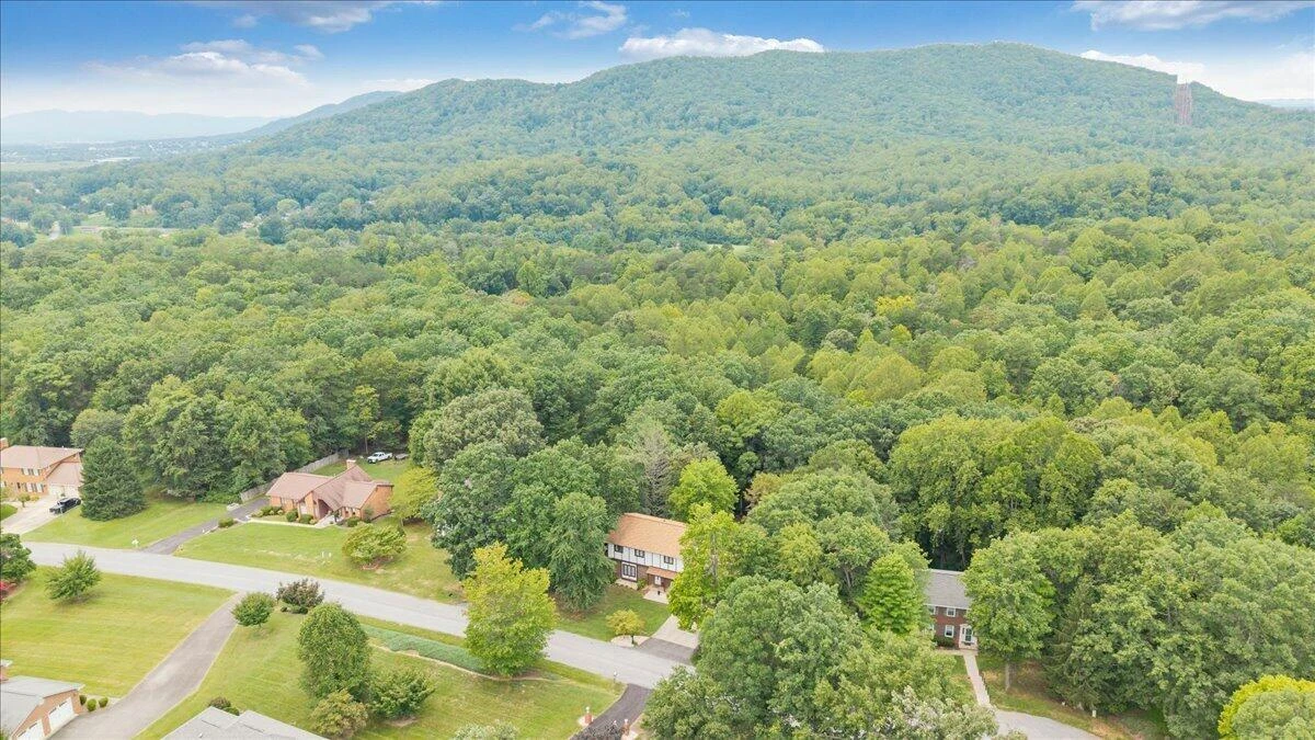 313 Carriage LN - Photo 83