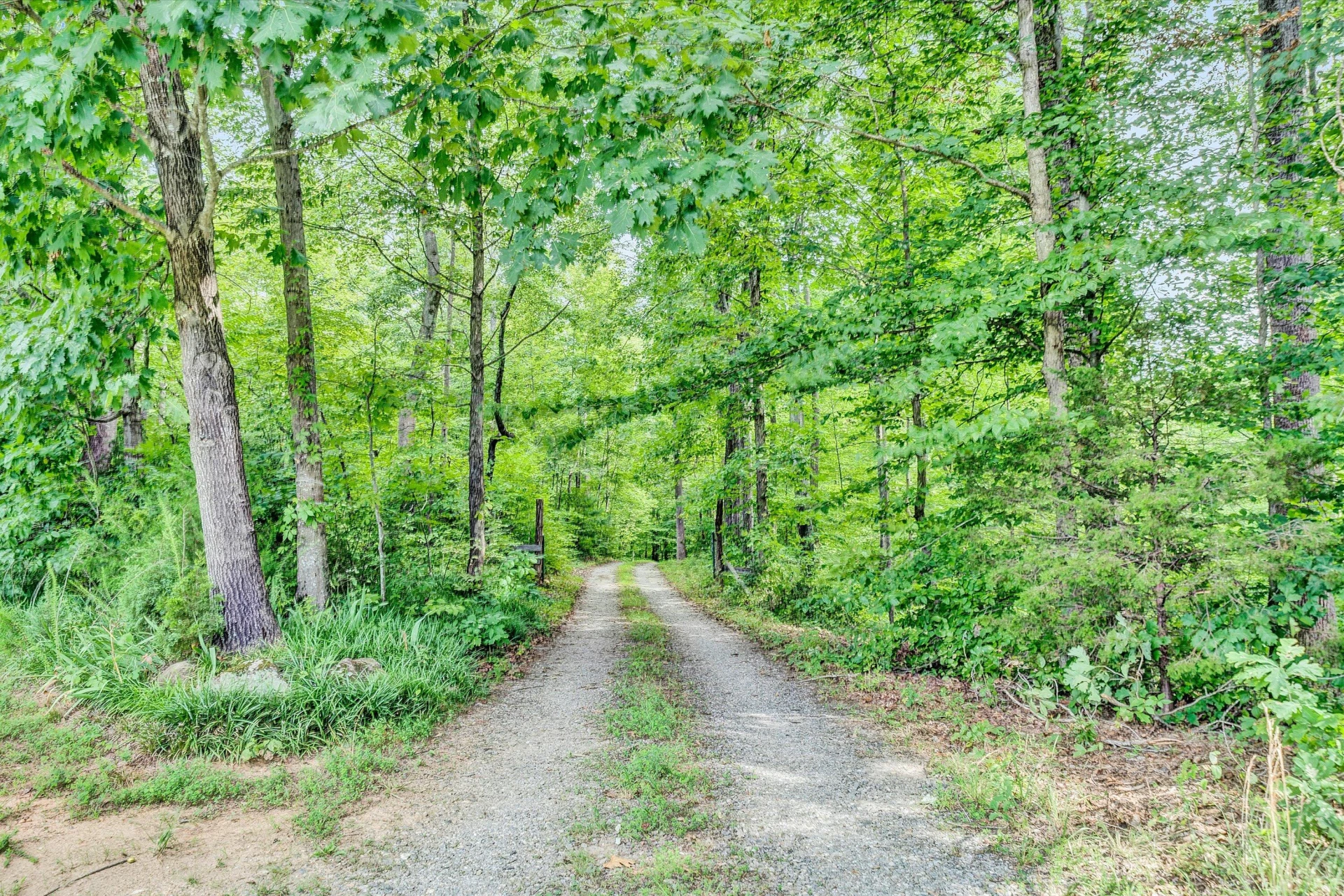 11289 Sontag RD - Photo 4