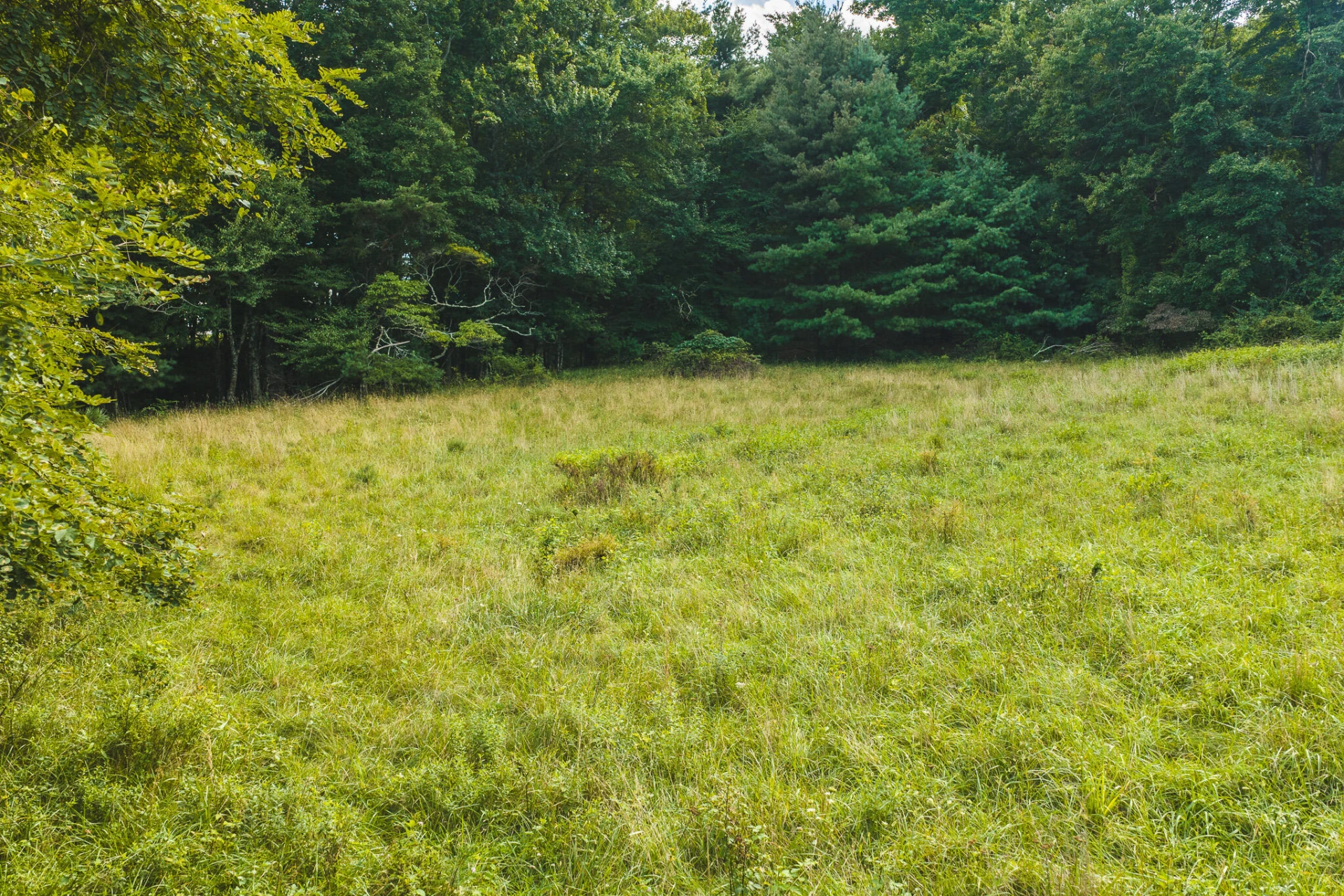 TBD Fairview Church RD SW - Photo 3