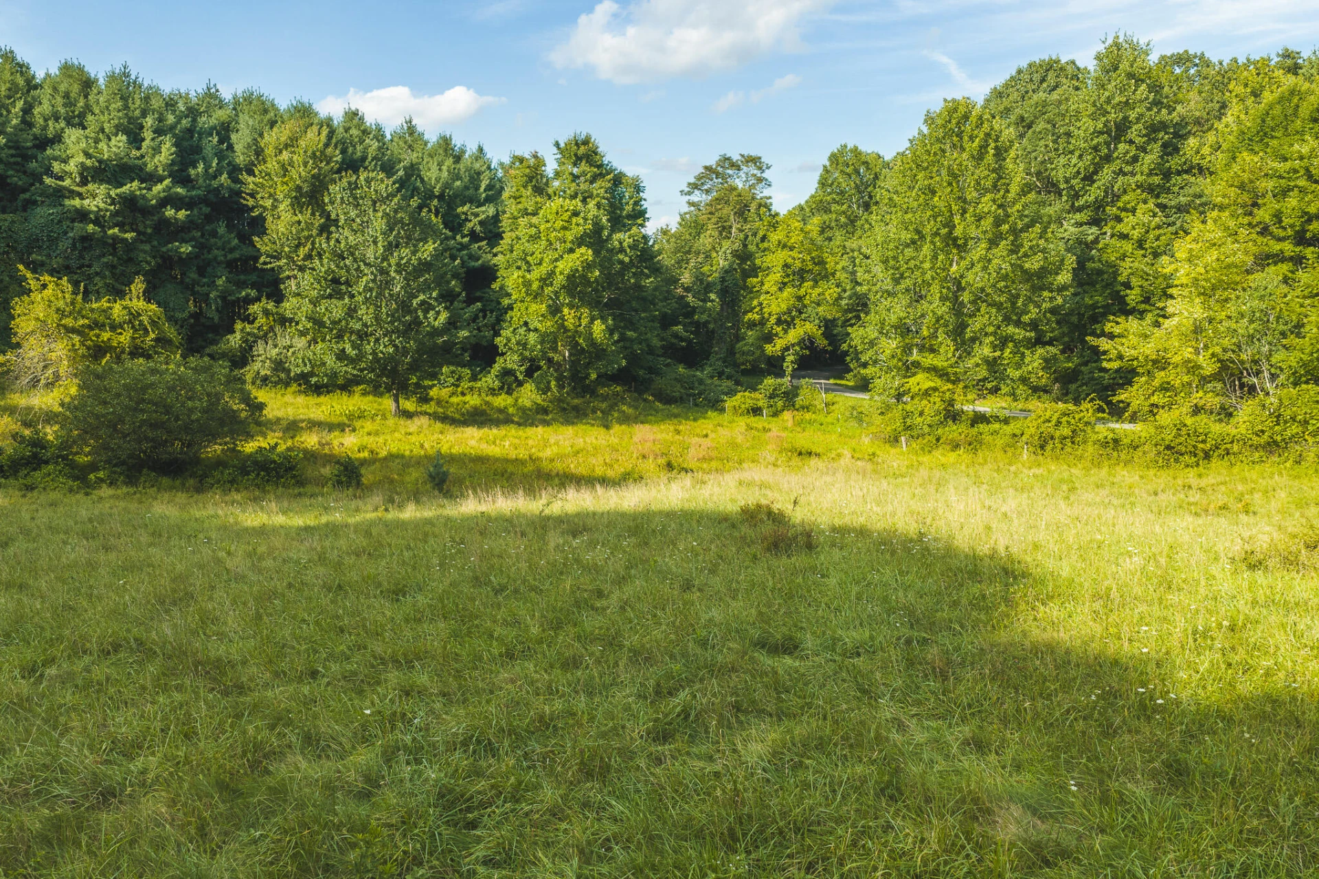 TBD Fairview Church RD SW - Photo 6