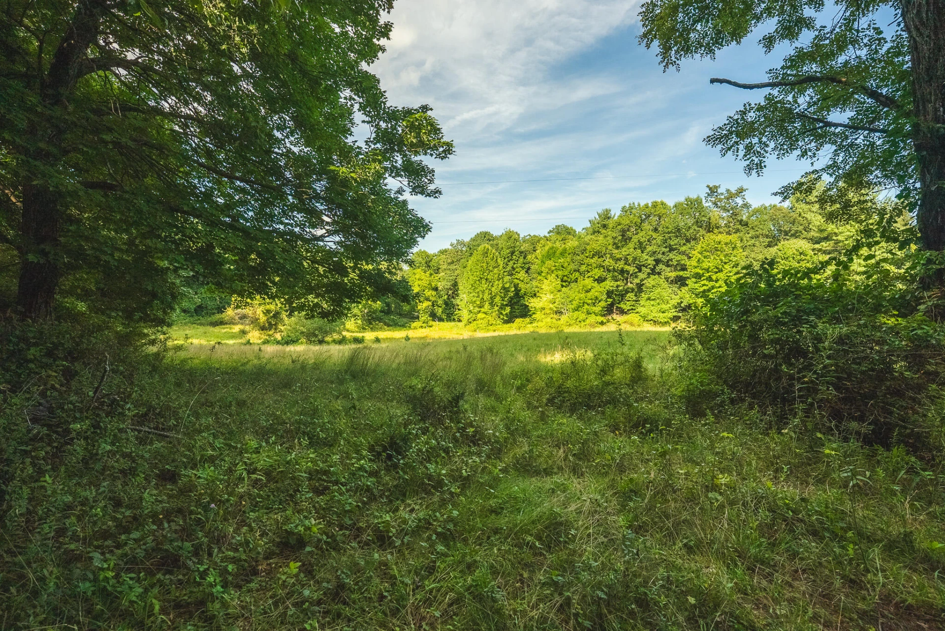 TBD Fairview Church RD SW - Photo 14