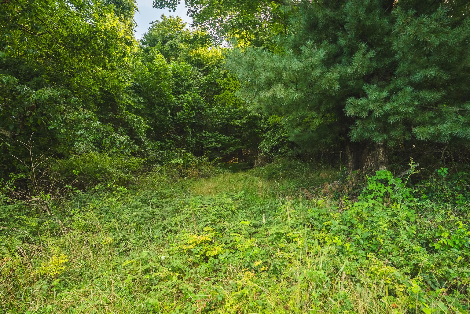 TBD Fairview Church RD SW - Photo 20
