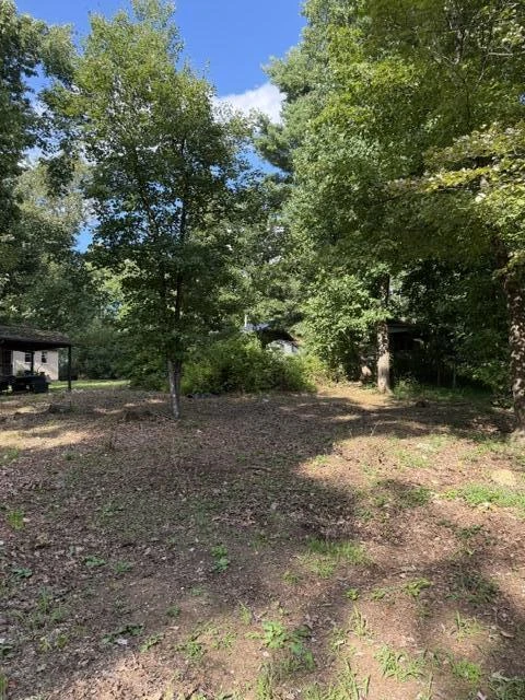 41 Wilderness DR SE