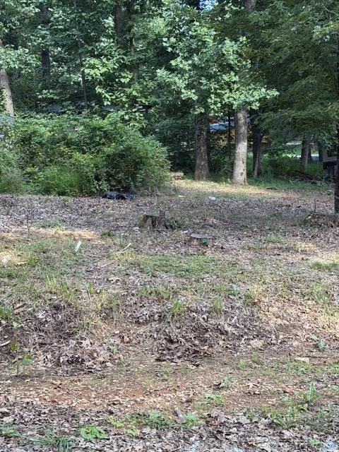 41 Wilderness DR SE - Photo 2