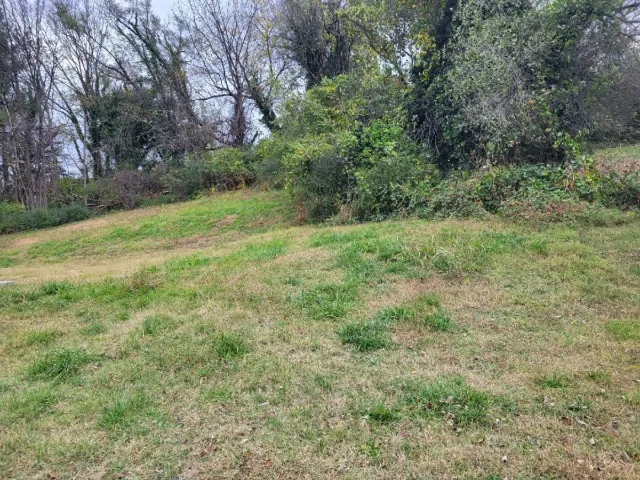 219 Harrison AVE NW, Roanoke, VA, 24016