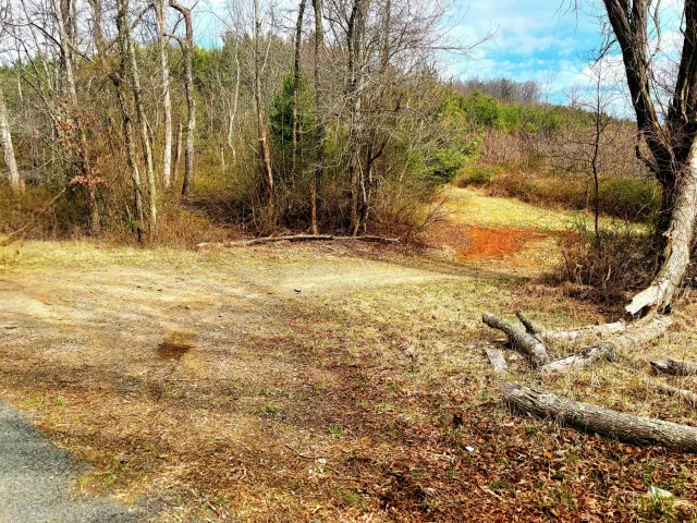 0 Burks Fork RD, Floyd, VA, 24091