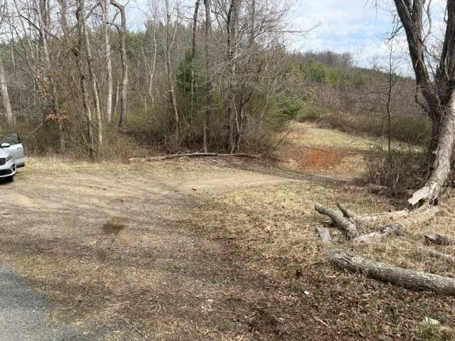 0 Burks Fork RD - Photo 2