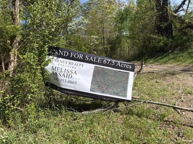 0 Burks Fork RD - Photo 3