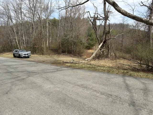 0 Burks Fork RD - Photo 4