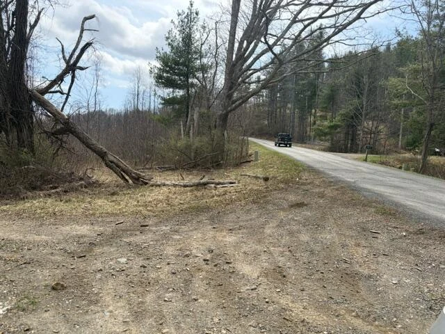 0 Burks Fork RD - Photo 6