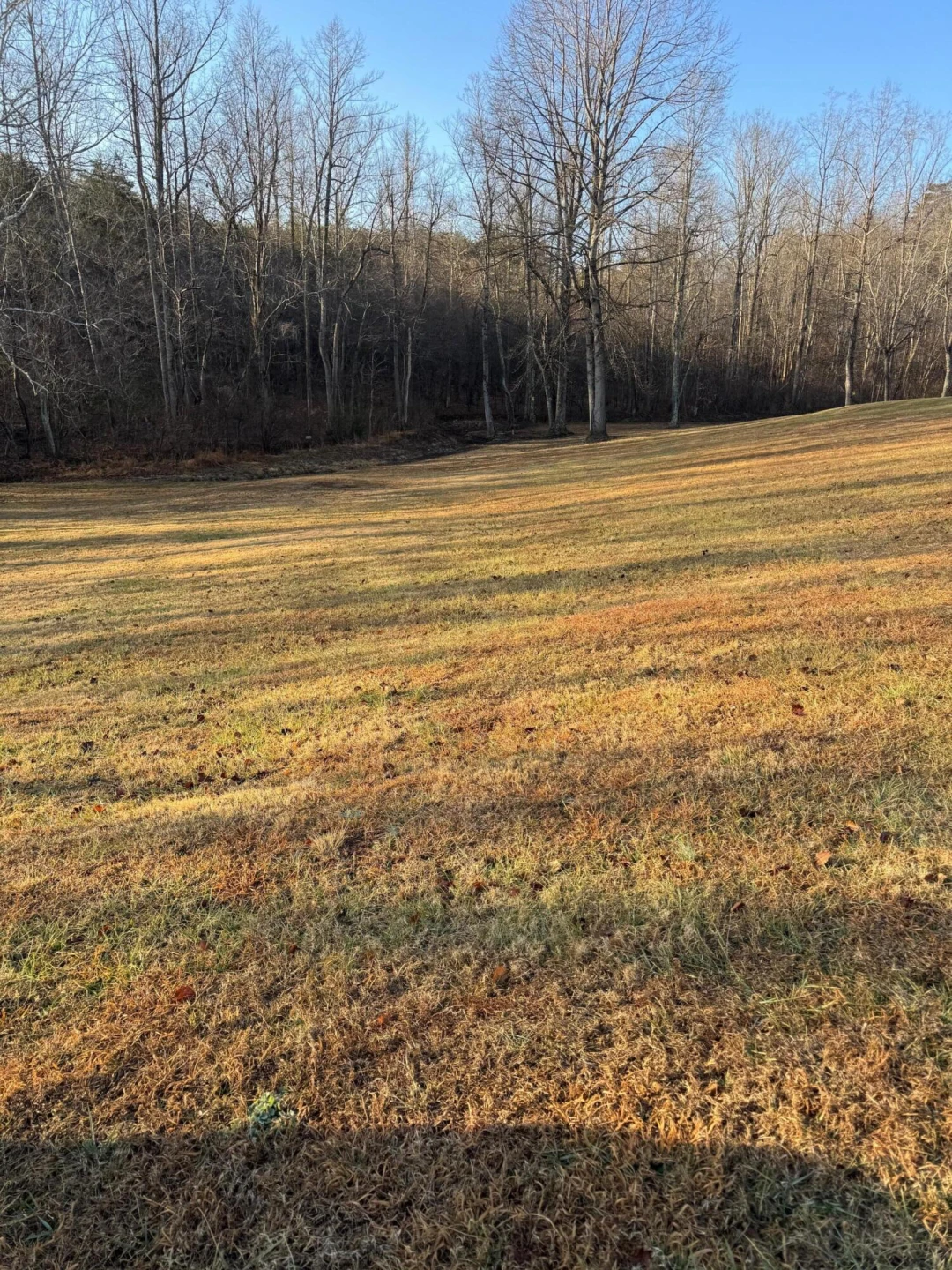 Lot 4 Sunny Seven DR