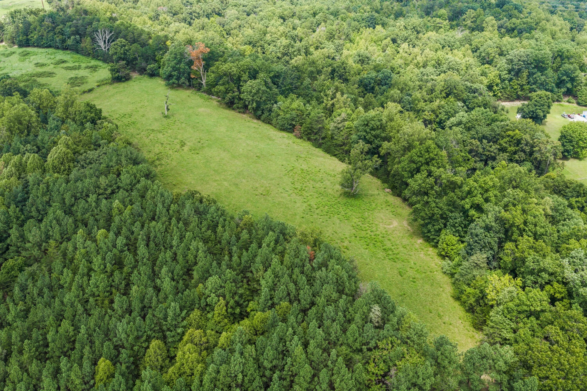 2704 Mountain Pass RD - Photo 57