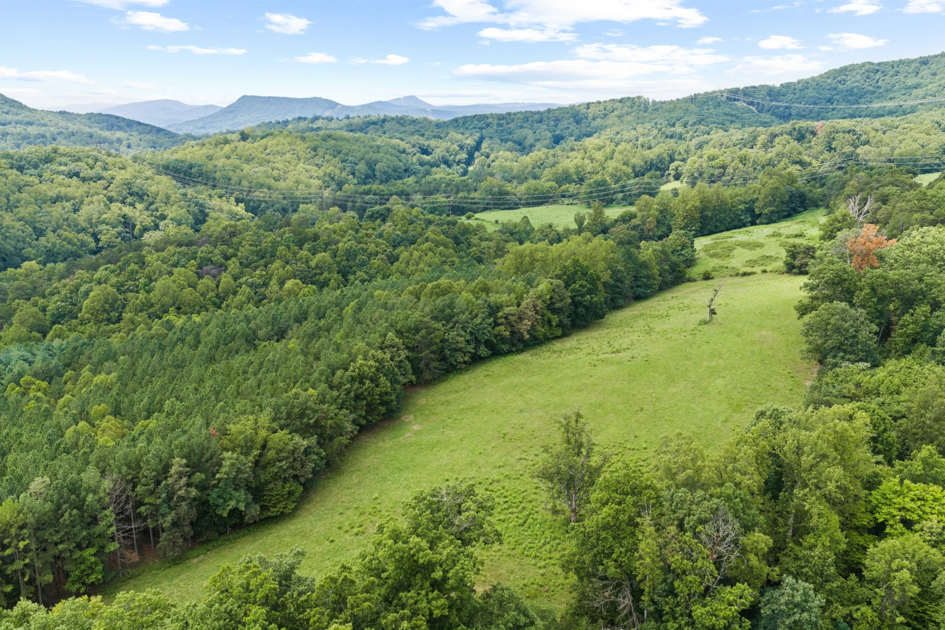 2704 Mountain Pass RD - Photo 60