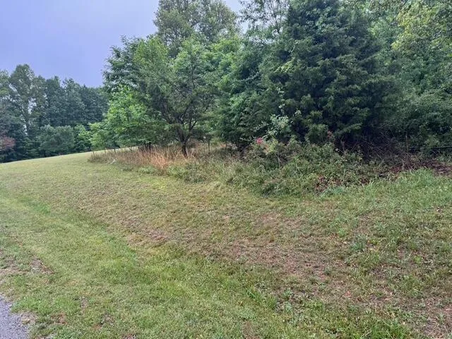 0 Fork Mountain RD, Rocky Mount, VA, 24151
