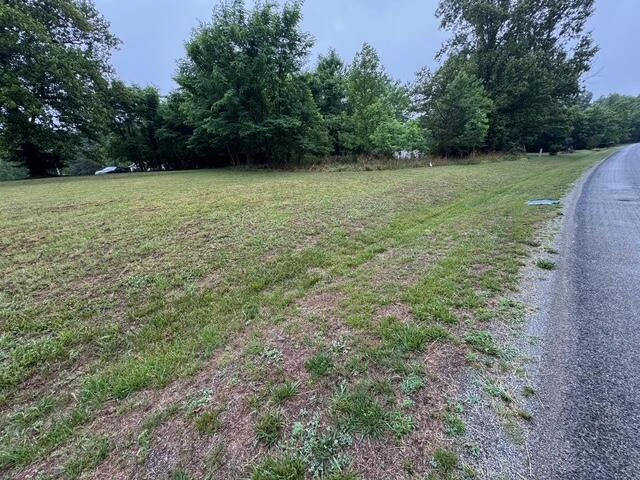 0 Fork Mountain RD - Photo 2
