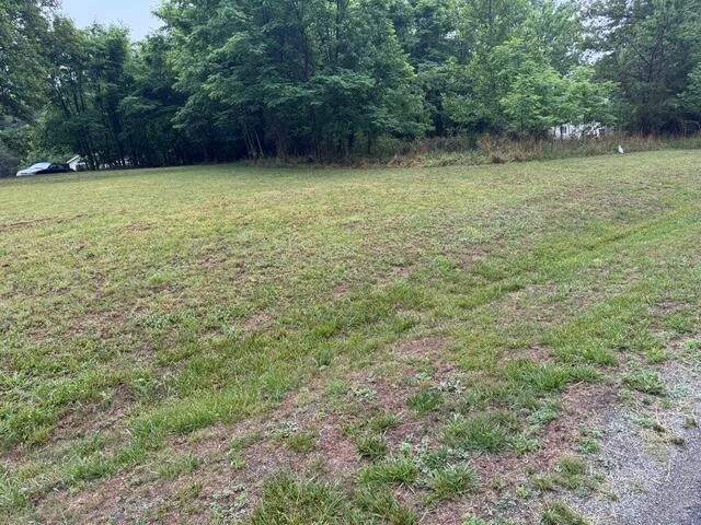 0 Fork Mountain RD - Photo 3