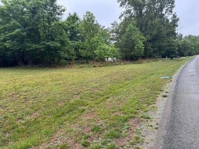 0 Fork Mountain RD - Photo 4
