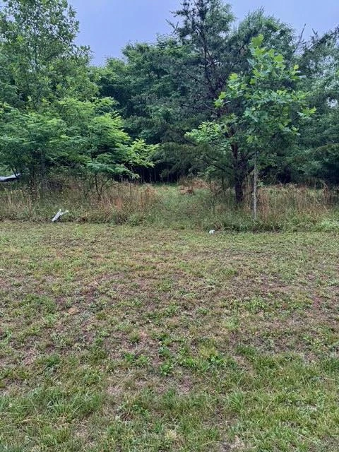 0 Fork Mountain RD - Photo 5