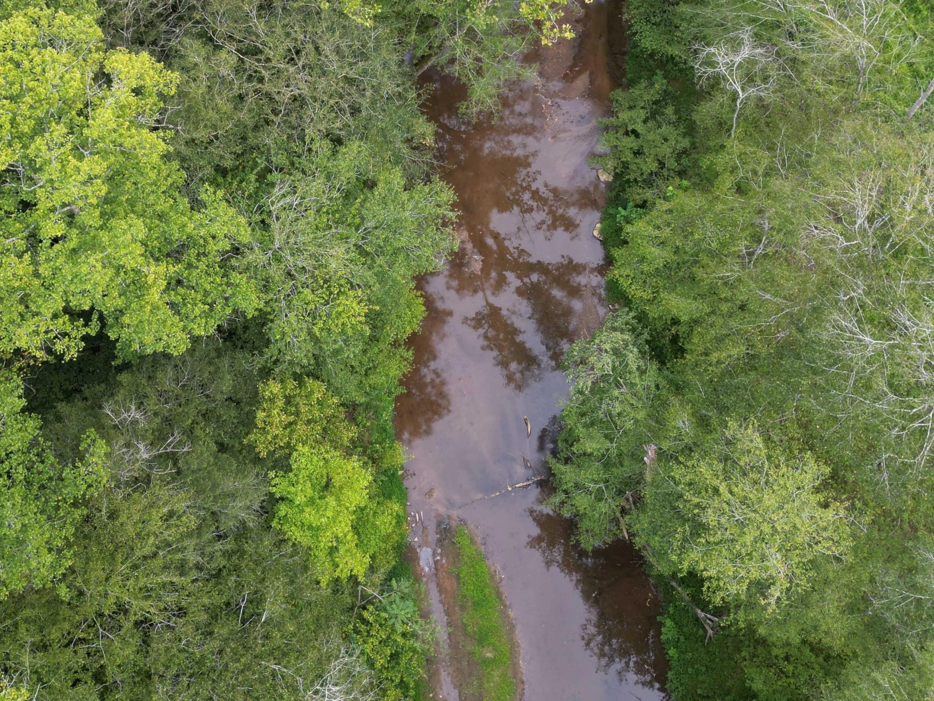 479 Constitution BLVD - Photo 47