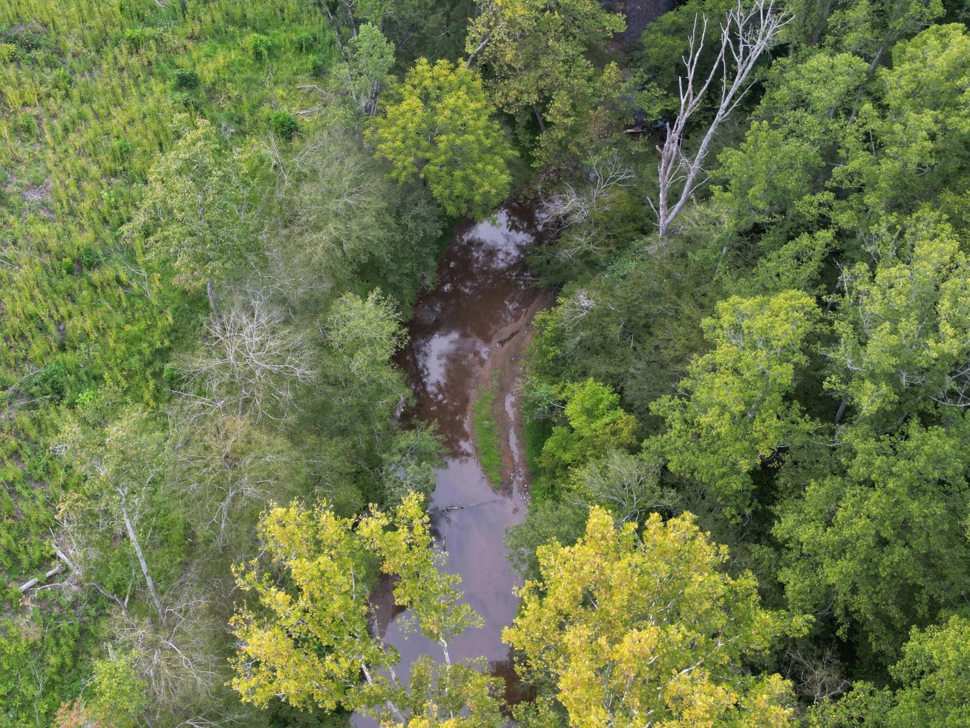 479 Constitution BLVD - Photo 49