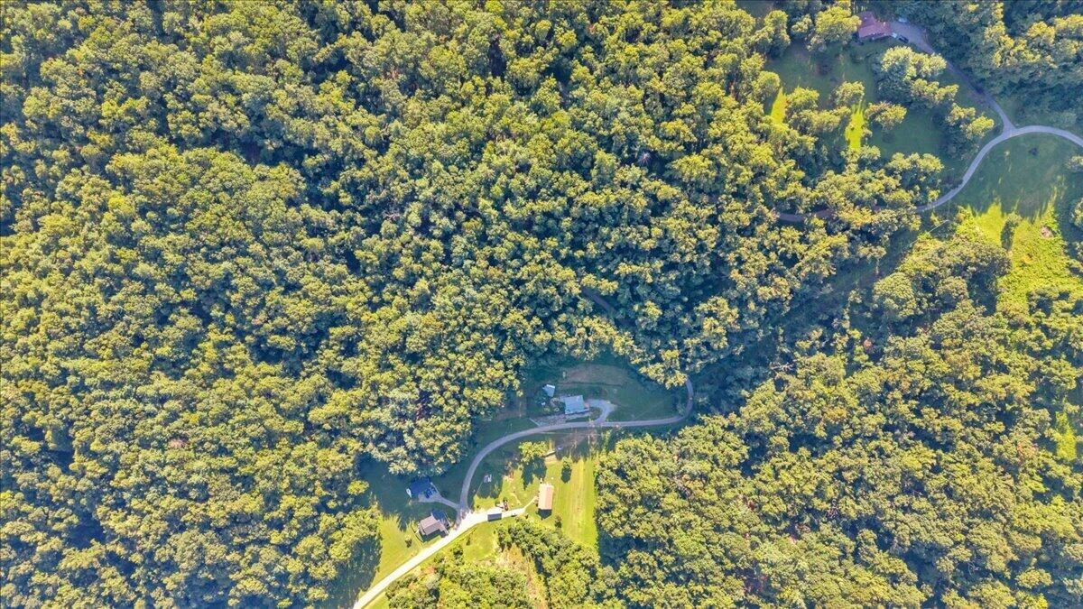 351 Meadow Branch RD - Photo 27